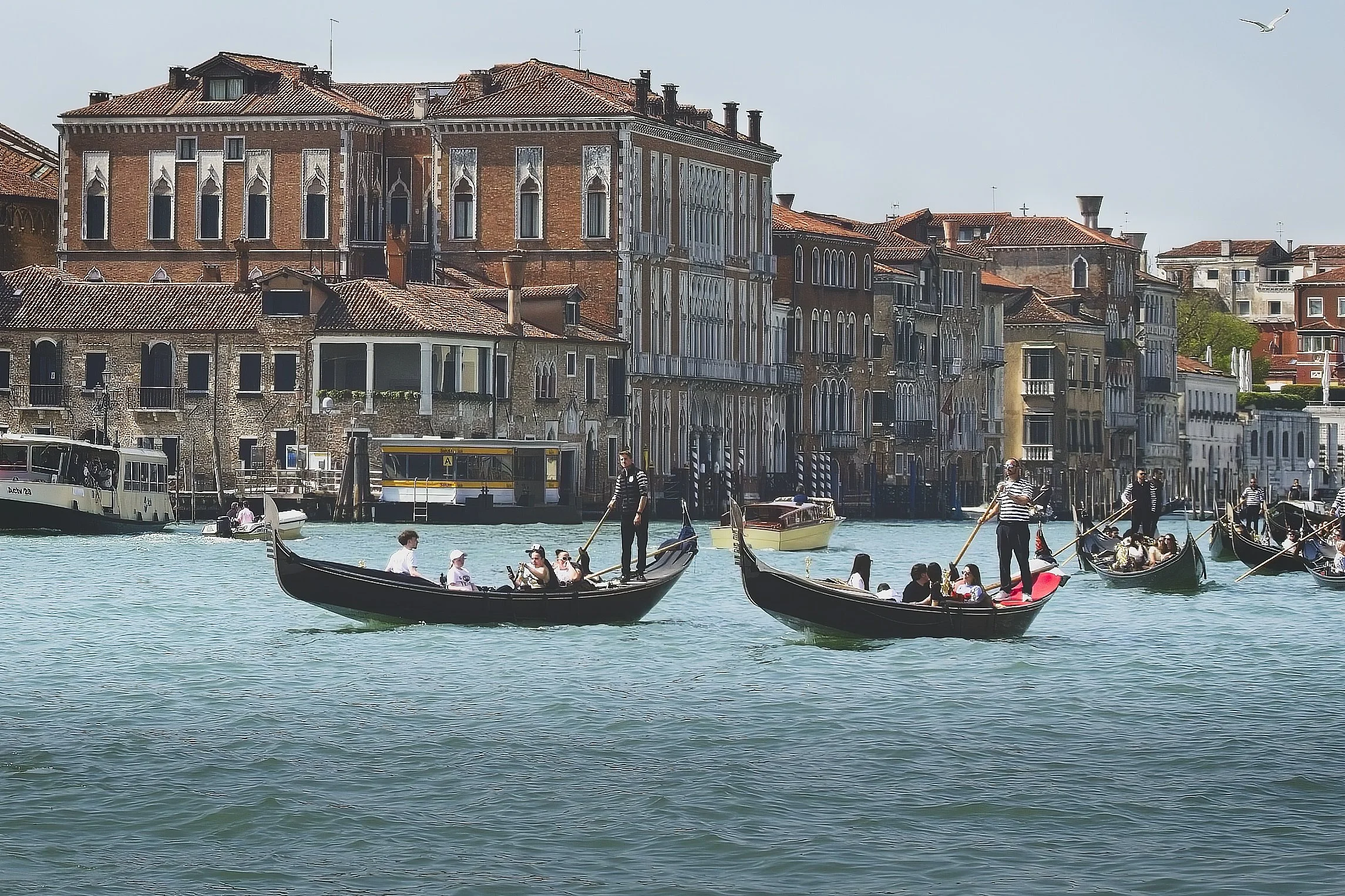 Venice_080426.jpg
