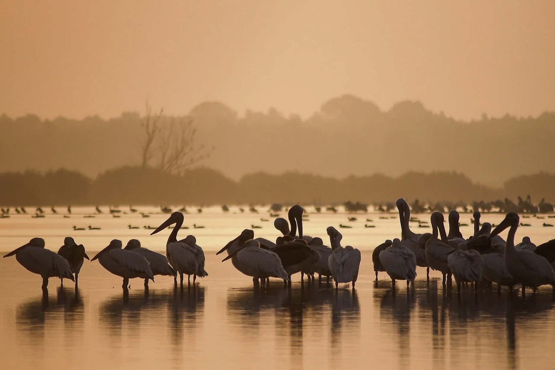 Italy_nature-culture_2026 3.jpg