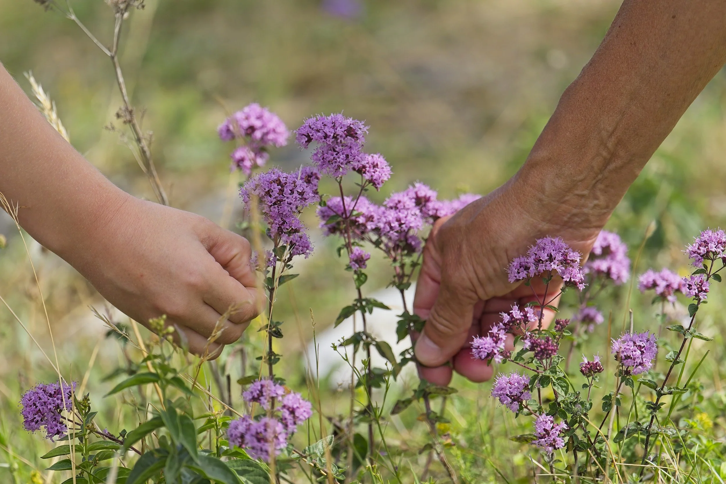 creative photography workshop in Sweden includes beautiful flowers