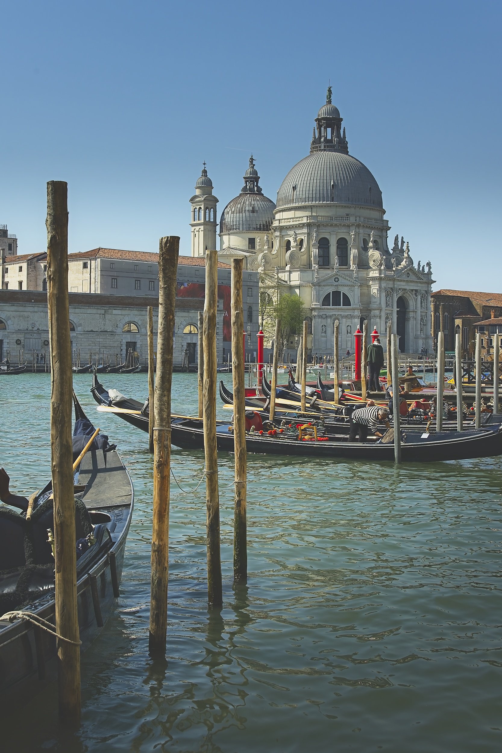 Venice_080426 6.jpg