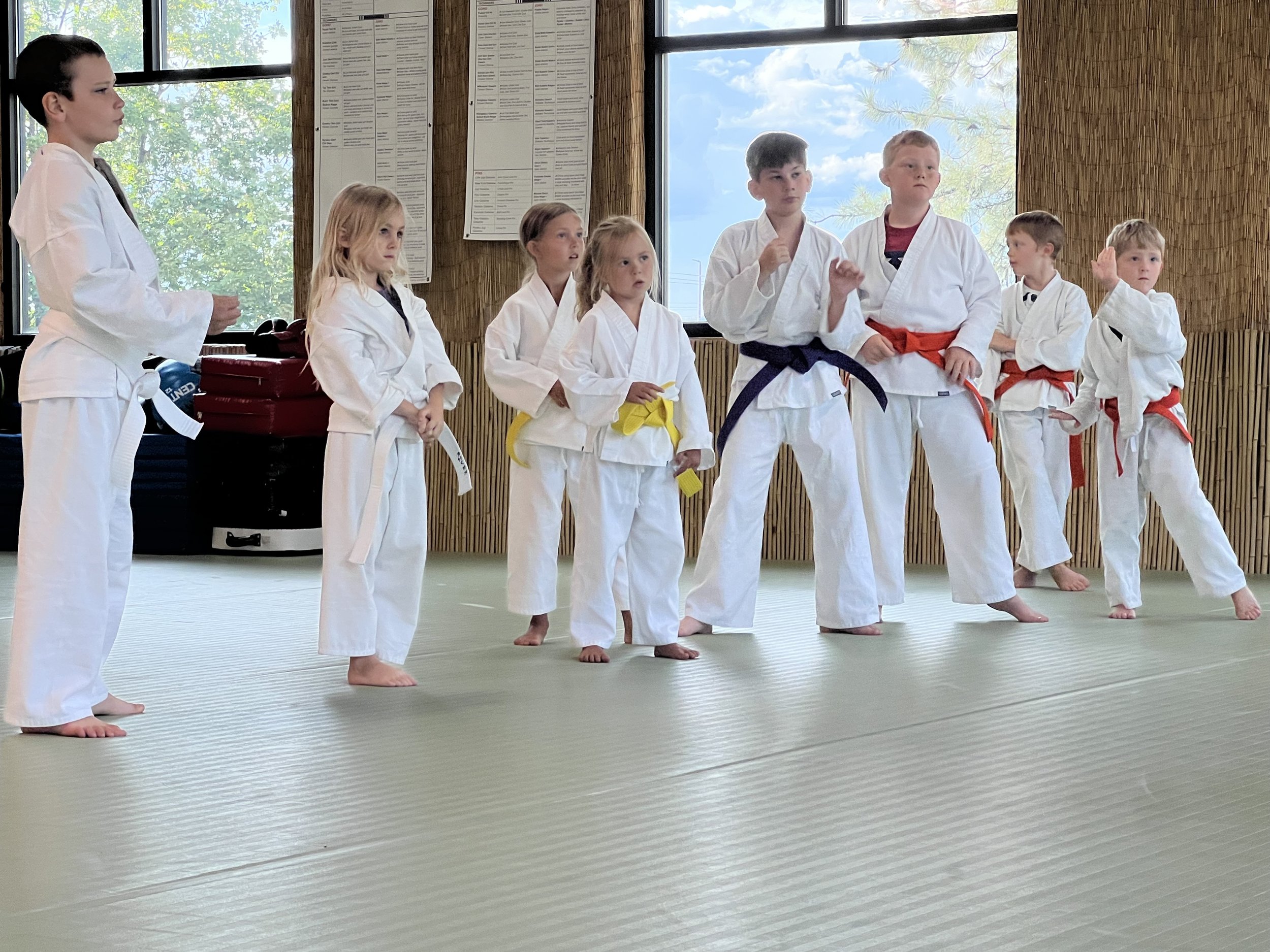 Spokane Valley Martial Arts.jpeg