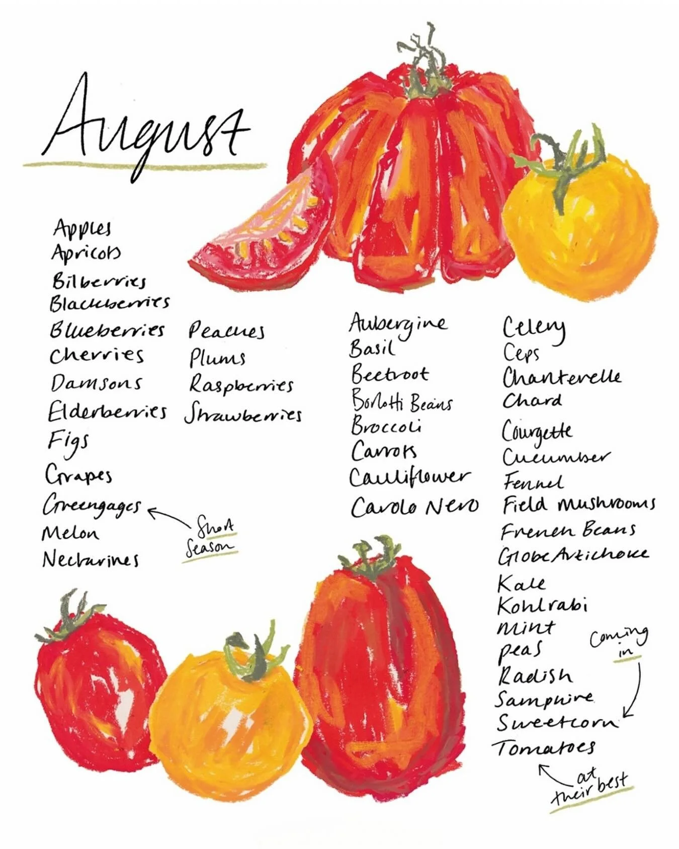 August is here! 🌿
A fresh month, a fresh wave of seasonal abundance &mdash; and it&rsquo;s the perfect time to nourish your body with ingredients at their peak.

🌿 Tomatoes &ndash; bursting with lycopene, an antioxidant that supports heart health a