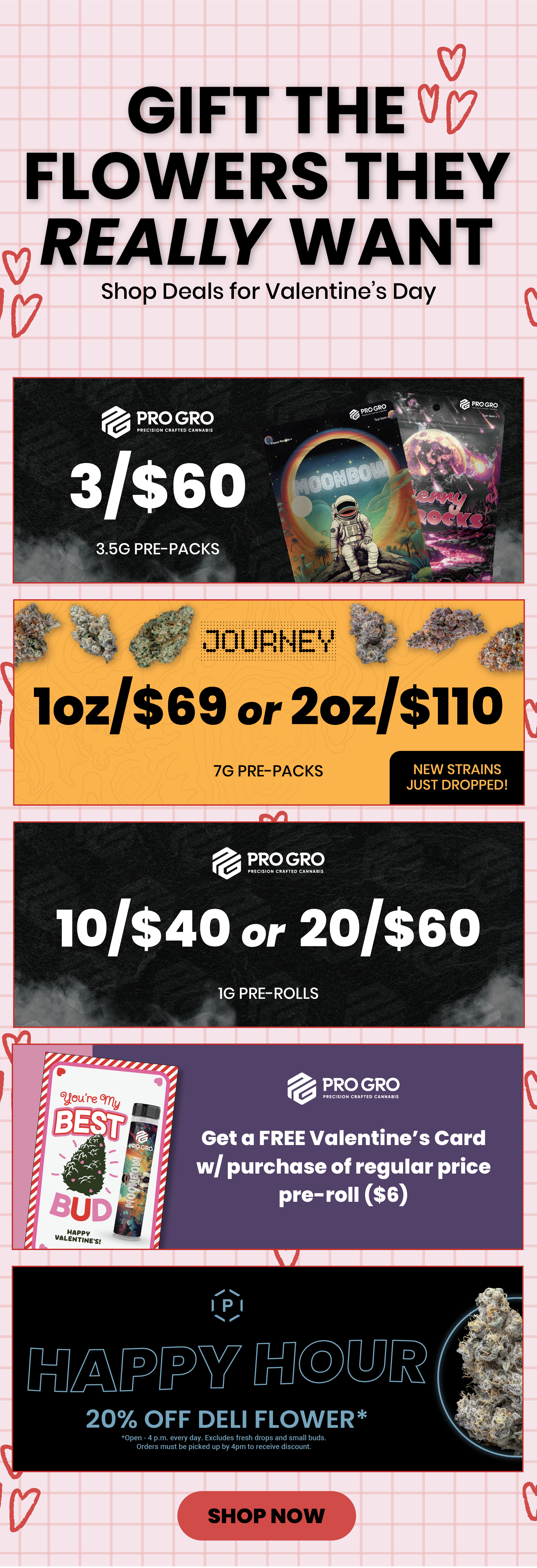 PO Valentines Email 121226.png