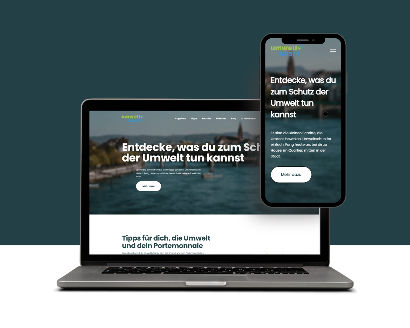 Environment Basel.png