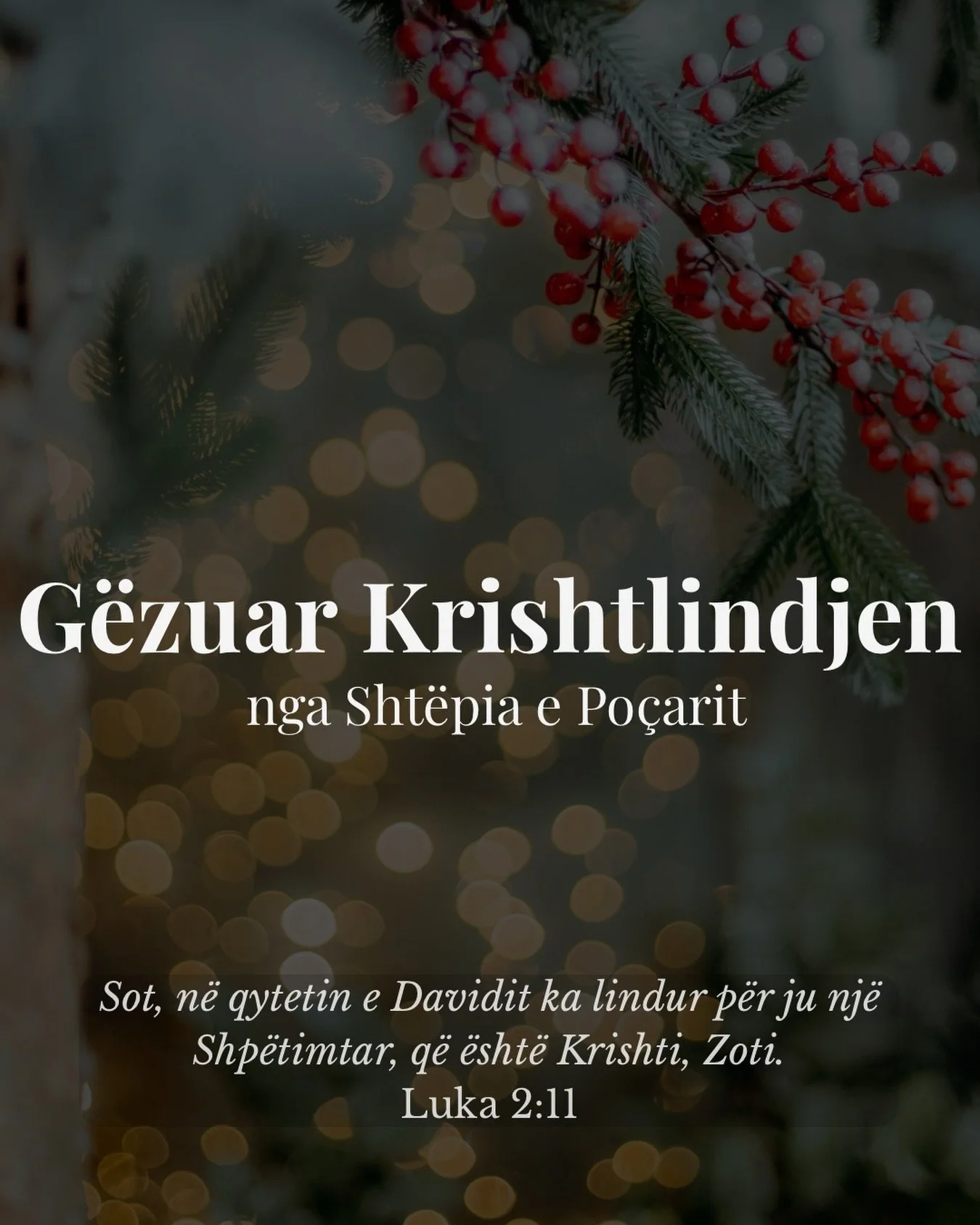 ✨G&euml;zuar Krishtlindjen nga Sht&euml;pia e Po&ccedil;arit ✨

Urojm&euml; q&euml; sht&euml;pia juaj t&euml; mbushet me paqe,
zemra juaj me g&euml;zim,
dhe jeta juaj me shpres&euml;n q&euml; gjendet n&euml; Jezusin.