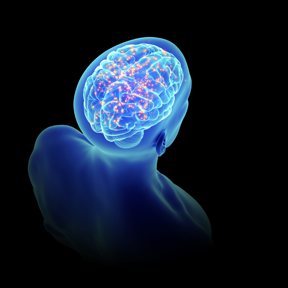 Neurological.png
