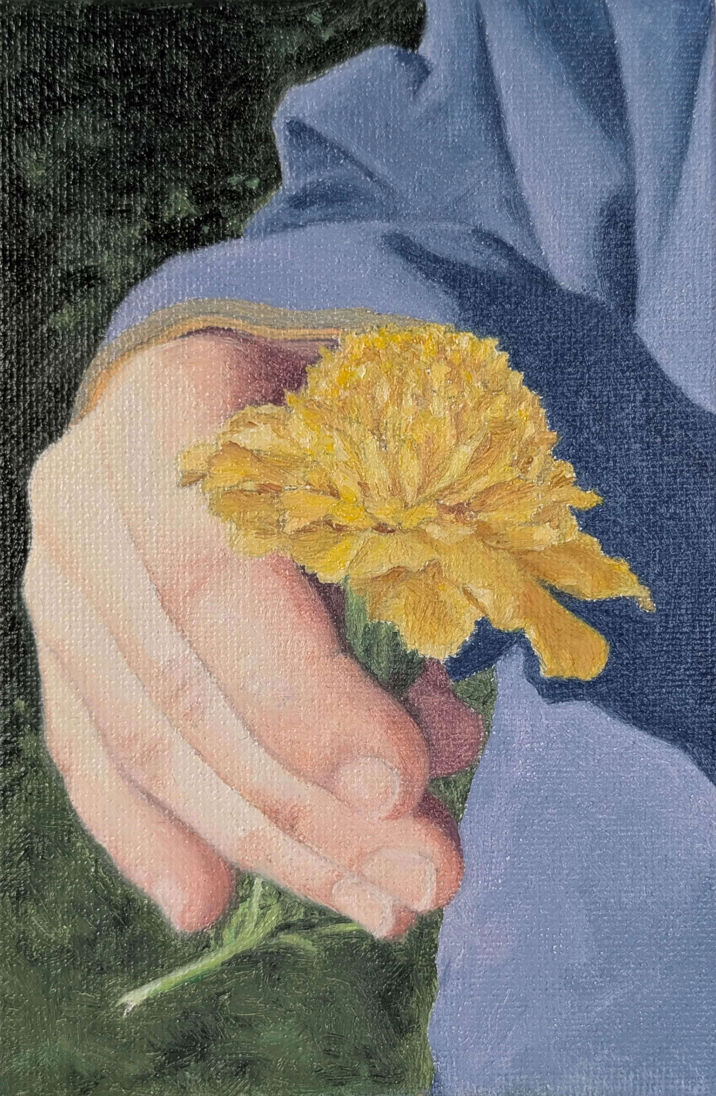 Œillet, huile sur carton entoilé, 10x15 cm, 2026