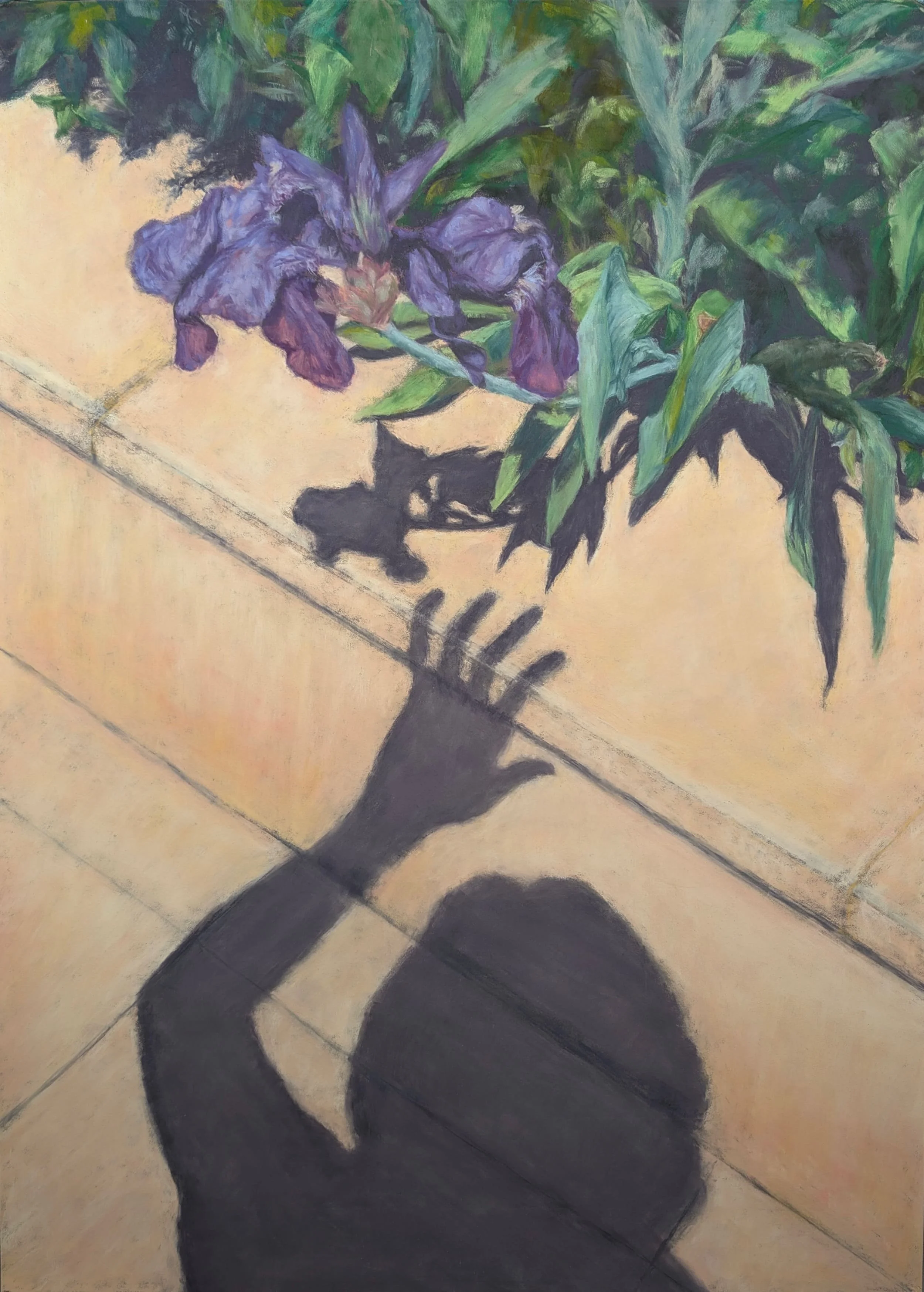 Attrape-moi si tu peux, pastel sec sur Pastelmat, 50x70 cm, 2025