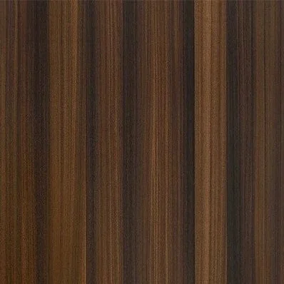 Shadow Eucalyptus.jpg