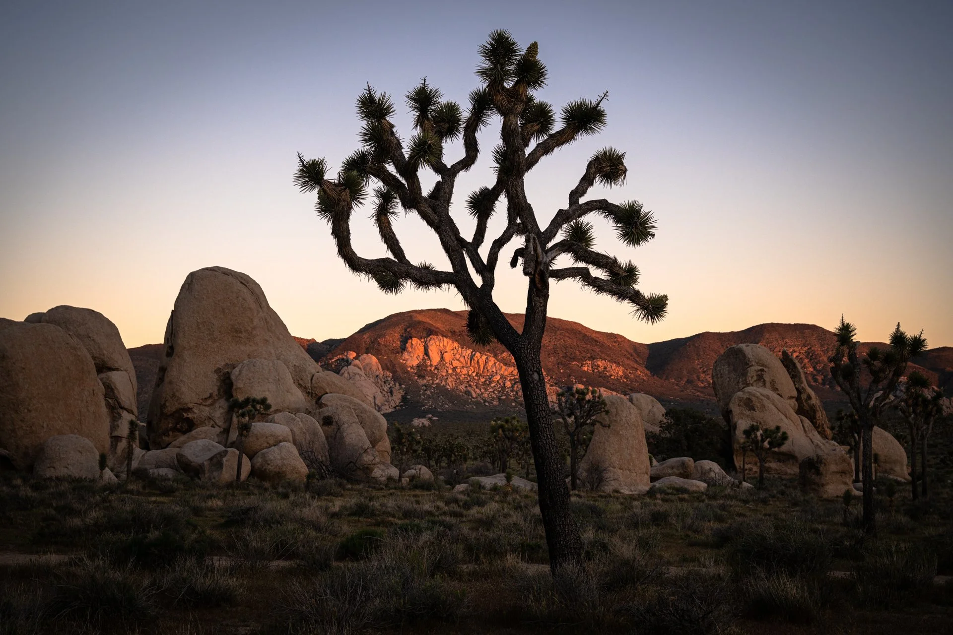 roadtrip-74.jpg