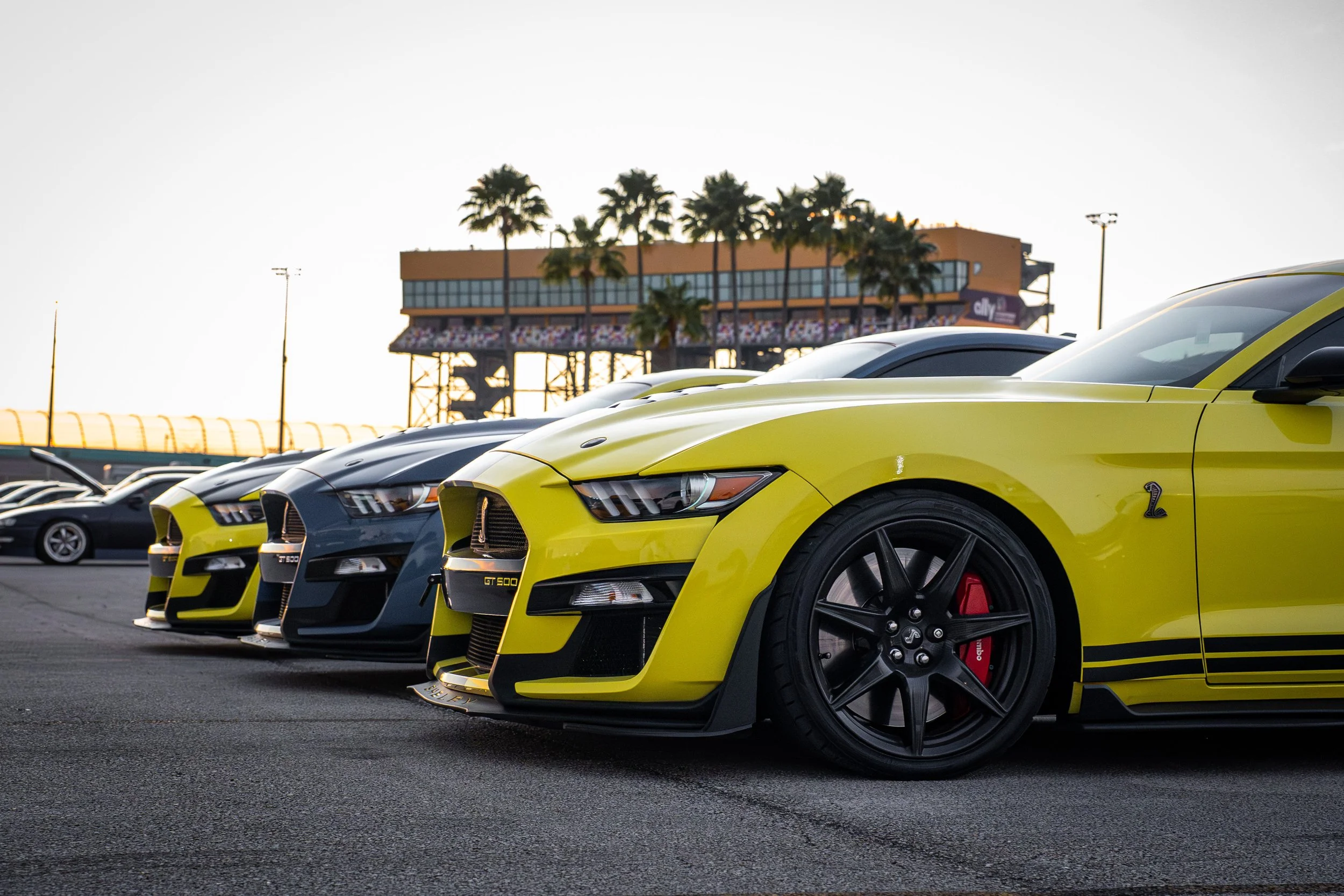 Ethanos Media_Race Of Champs-10 (1).jpg