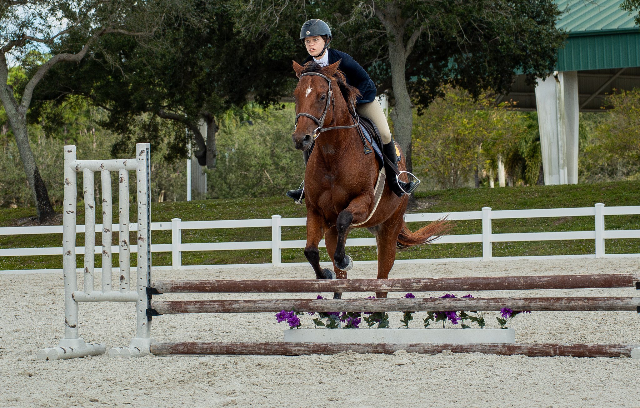 Ethanos Media_4Gs IEA Show-140 (1).jpg