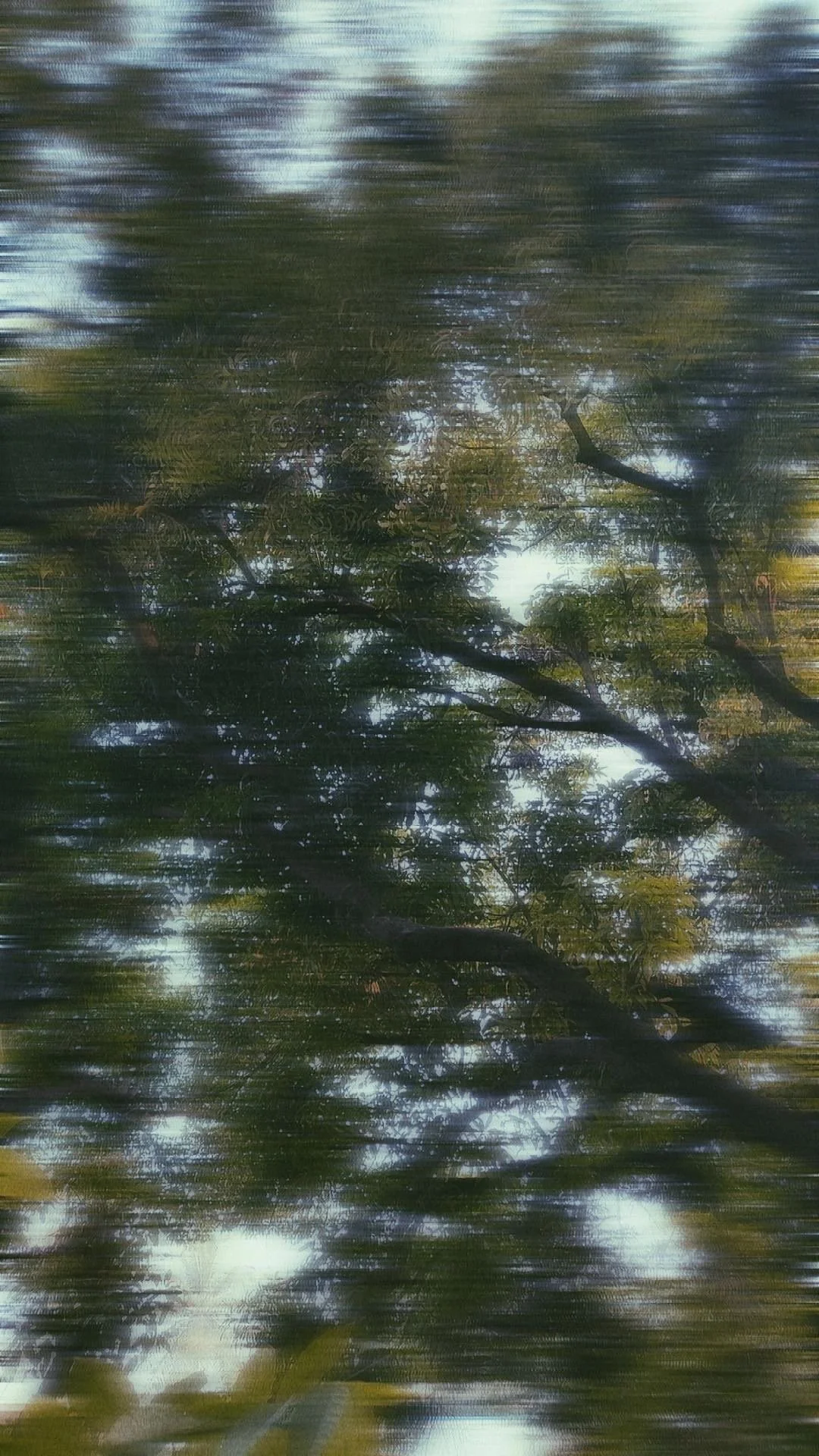 The Evolution of Meditation: From Ancient Spiritual Practice to Modern Holistic Wellness