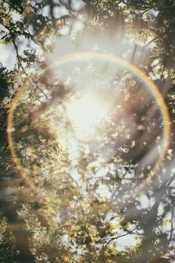 Micro-Mindfulness: How Small Moments of Awareness Can Transform Your Mental Health and Daily Well-Being