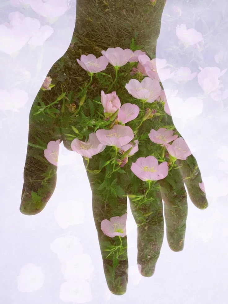 Planting Seeds of Change: How Small Daily Habits Create Big Emotional and Nervous System Transformation