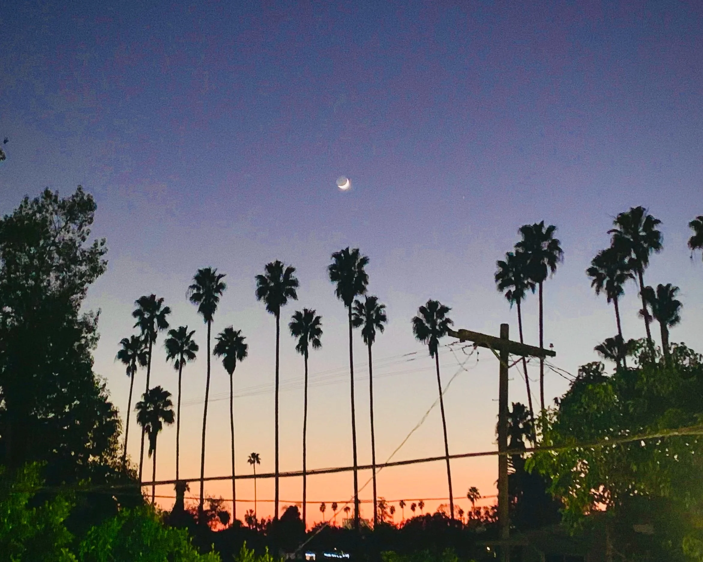 Dusk or dawn sky with a crescent moon and a bright planet, silhouetted palm trees and power lines in the foreground.