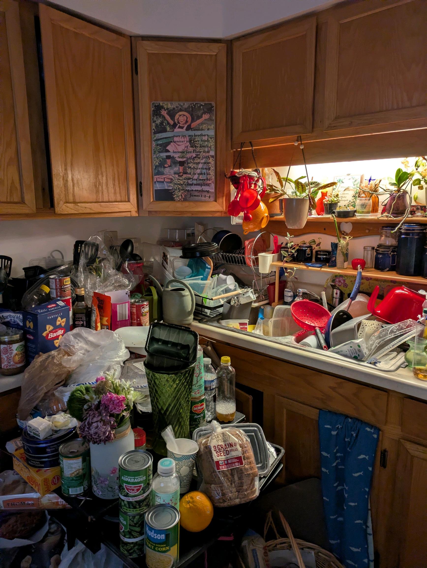 From Eviction Notice to a Fresh Start