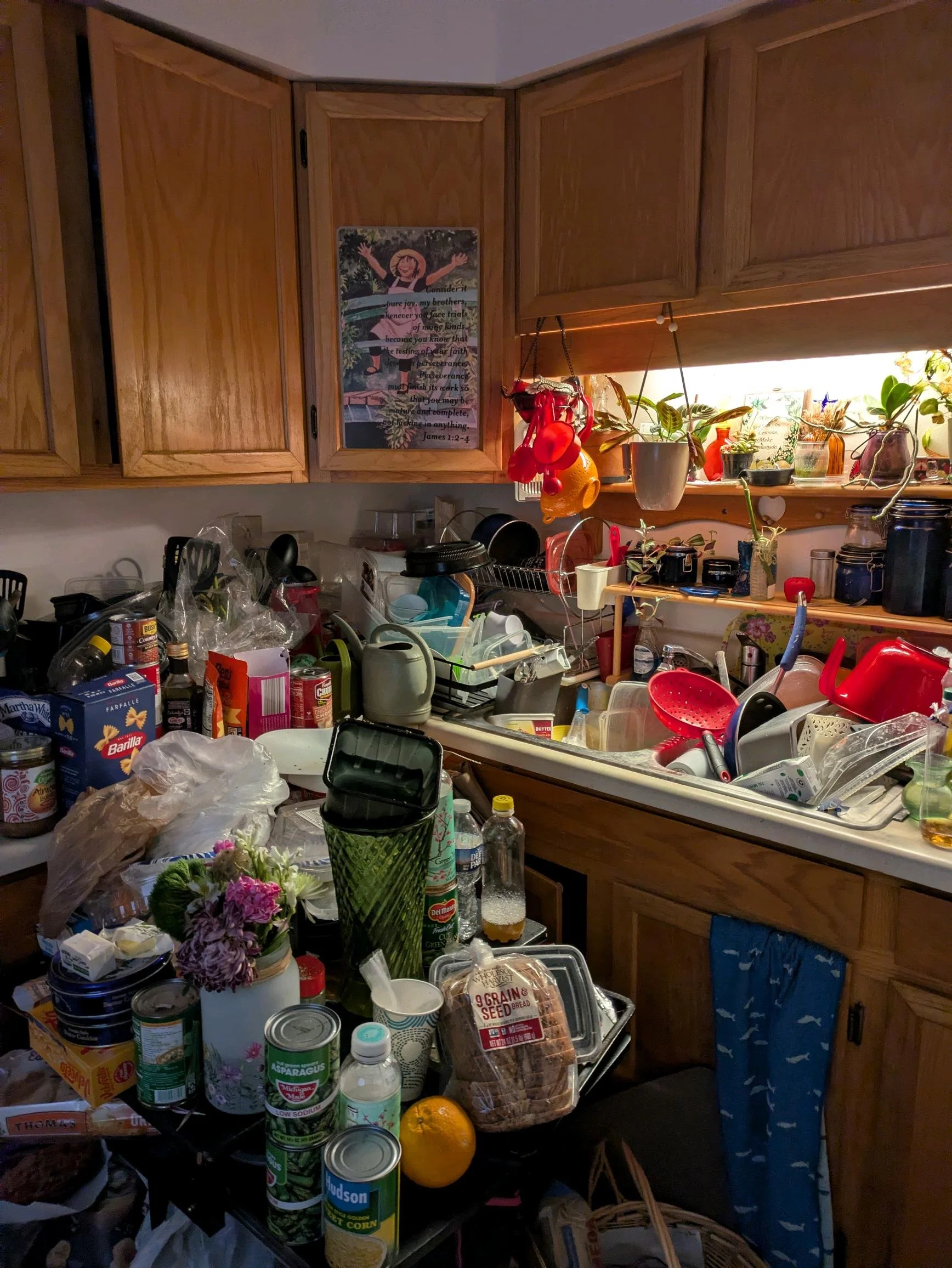 IMG_20260206_161500.jpg