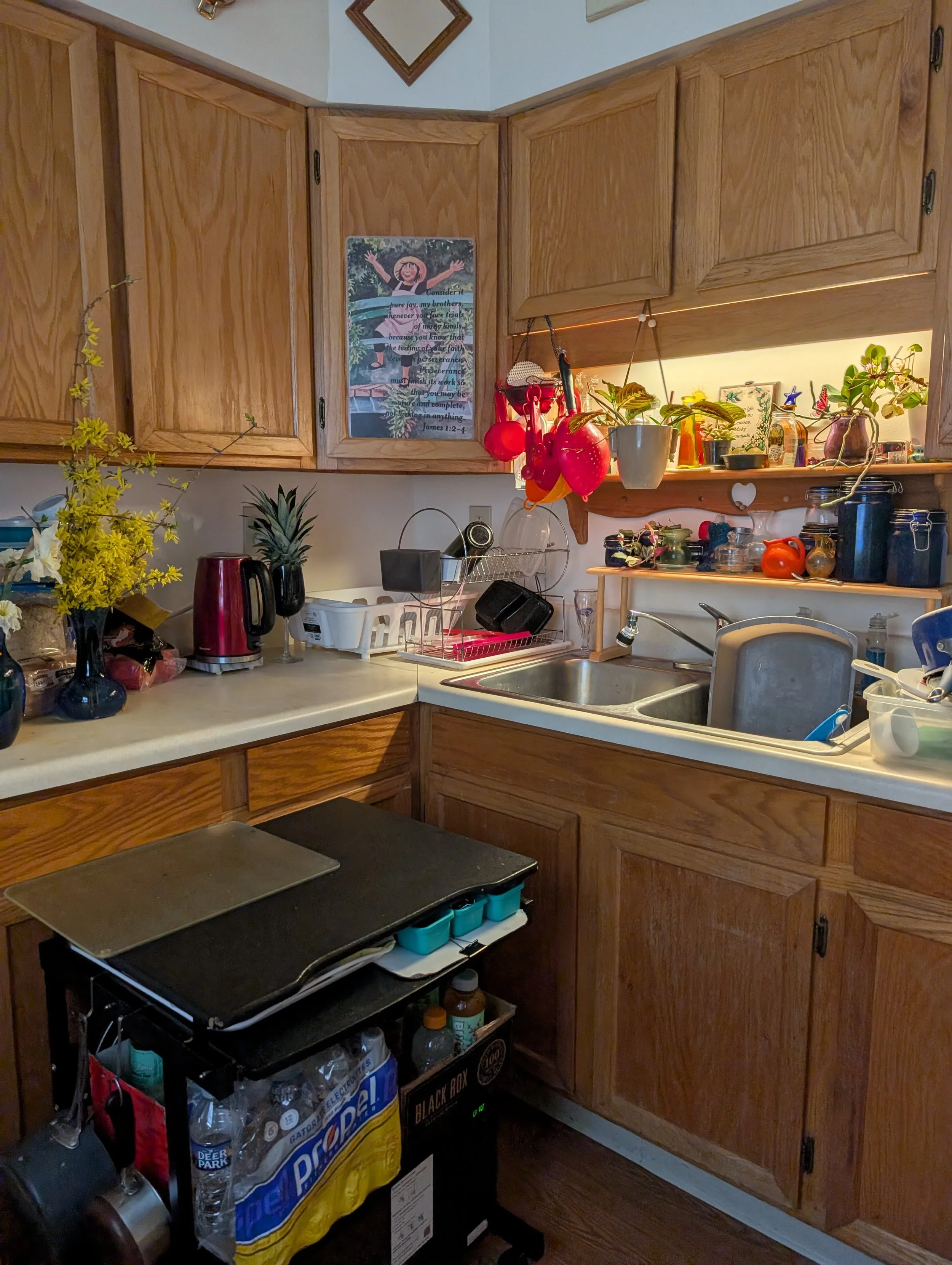 A severely cluttered kitchen before professional home organizing intervention by Home to Home Services in Richmond, VA — part of Kay's story of reclaiming her home
