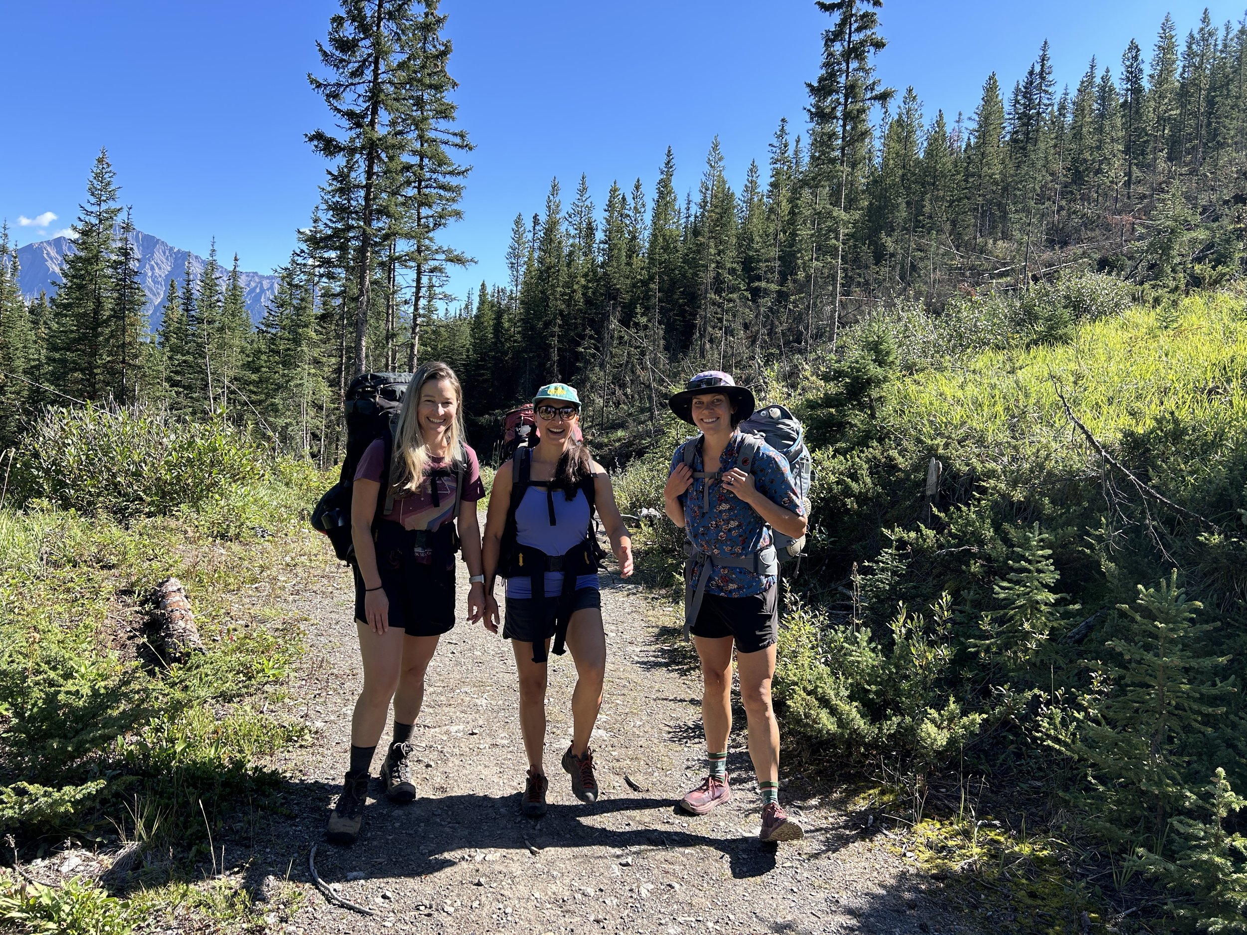 Guided Hikes 