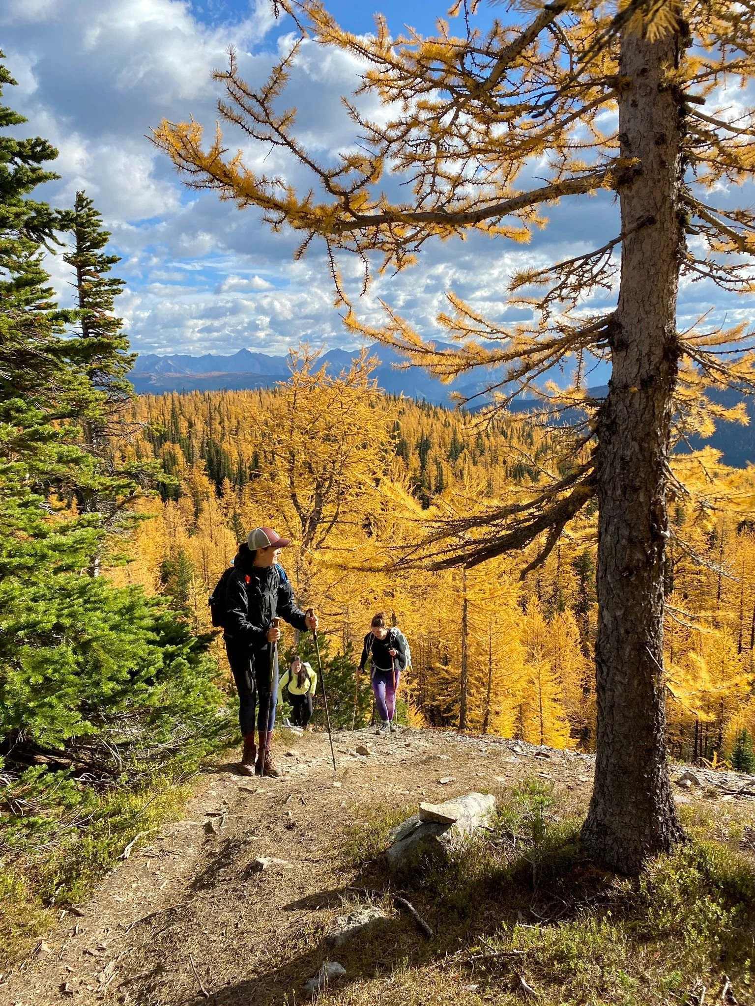 Hiking Arnica Lake (Banff).JPG