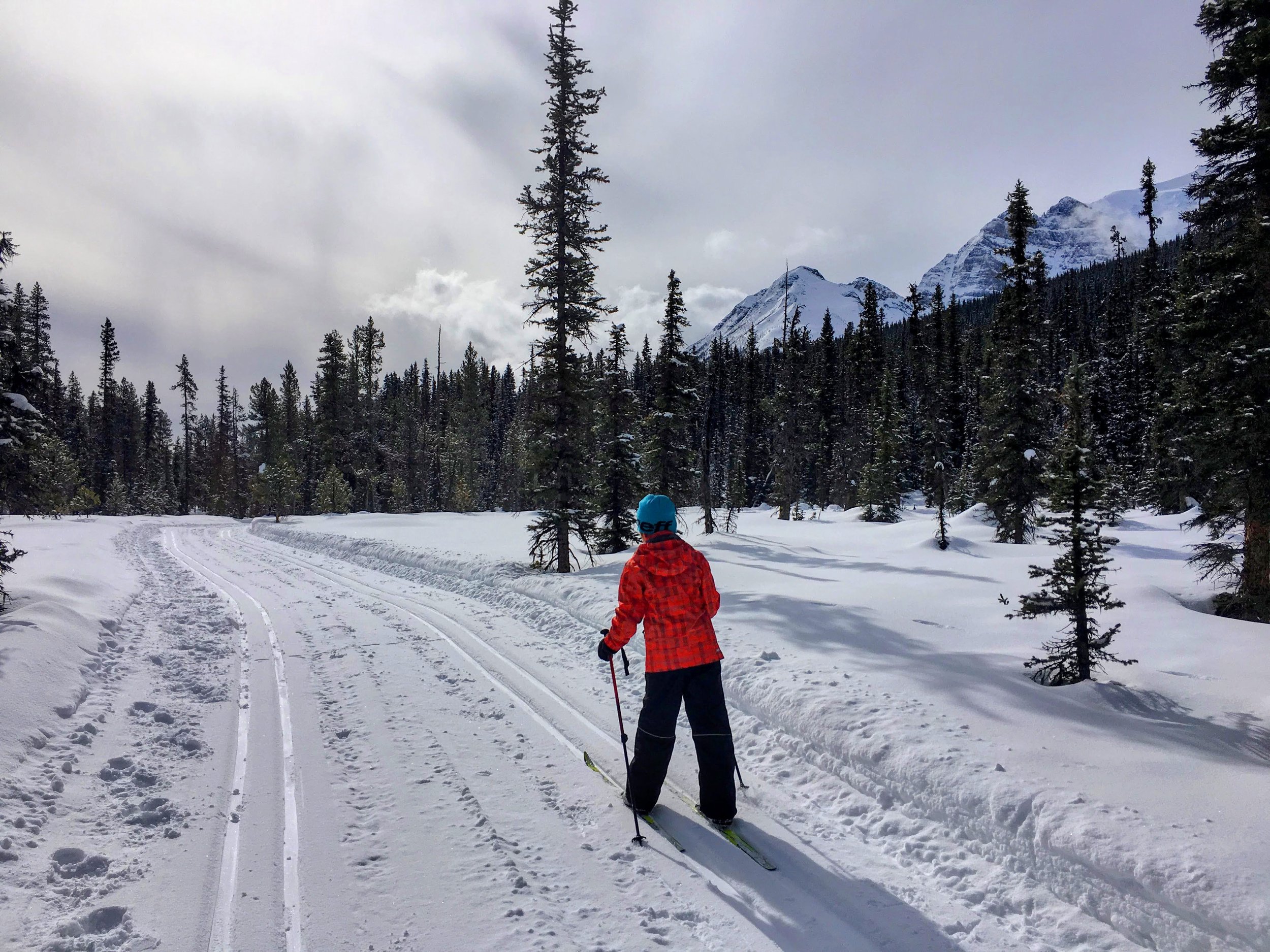 xc skiing kid copy.jpeg