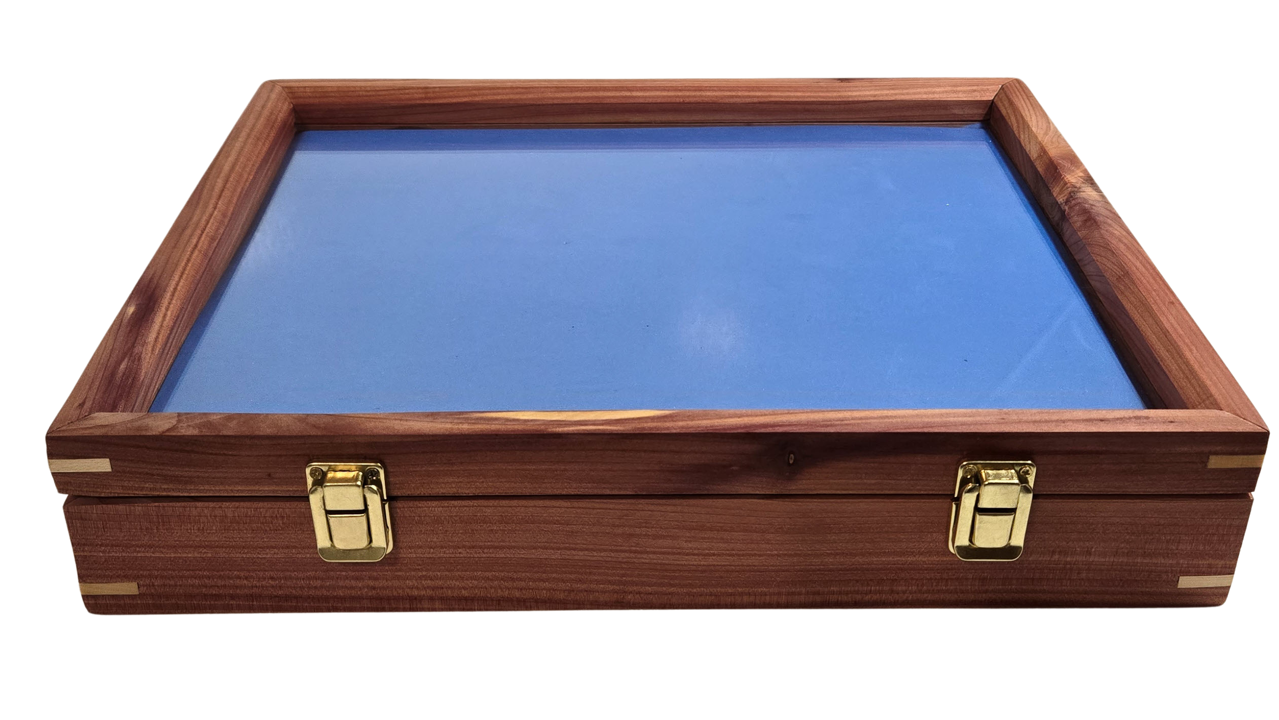Display Box Blue.png