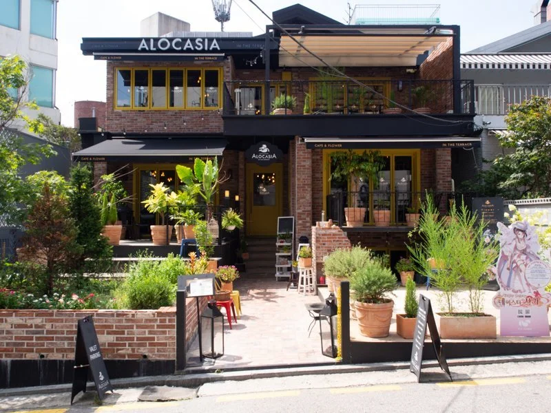 sinsa-cafe-seoul-design-flower.jpg
