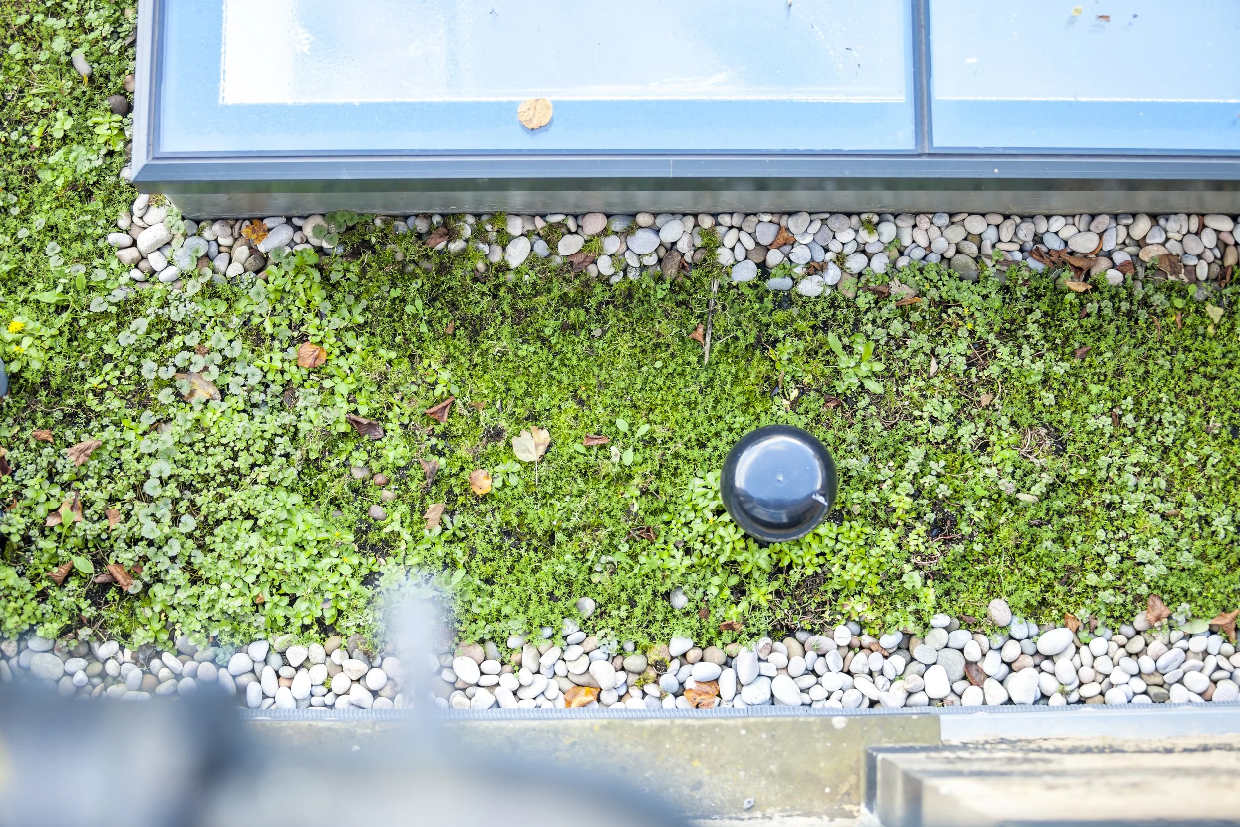 nest_AshtonRoadFullRes_019.jpg