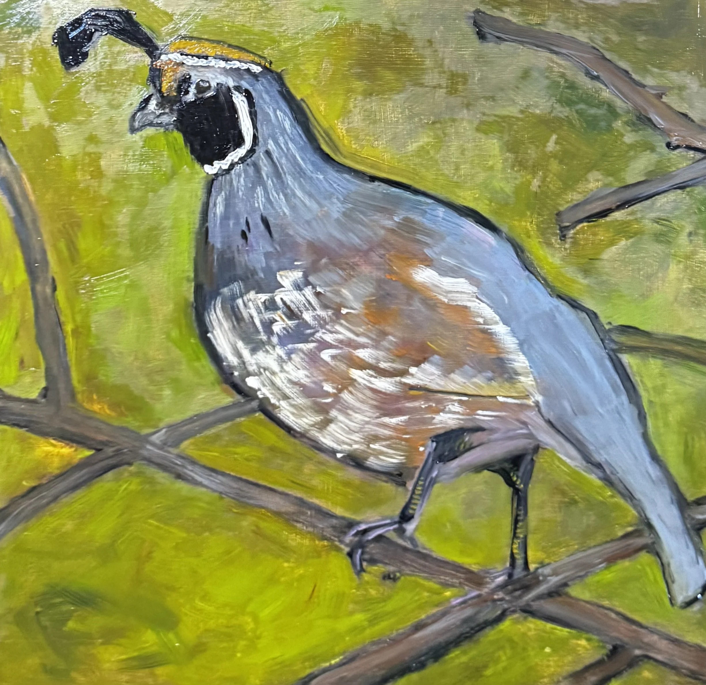 "cali bird", oil on panel, 12"x12" 