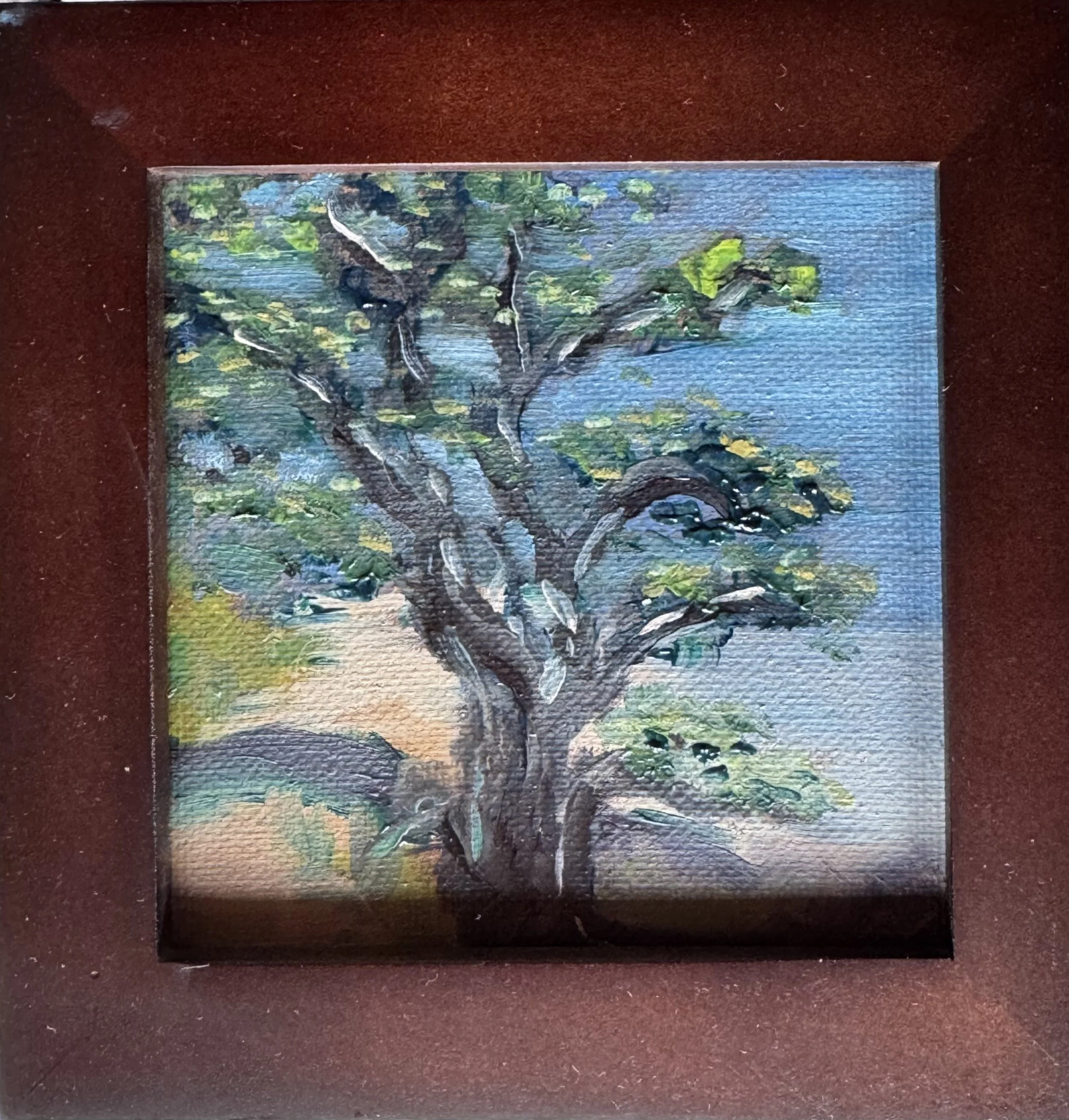 "monterey pine", oil on canvas, 4"x4" framed