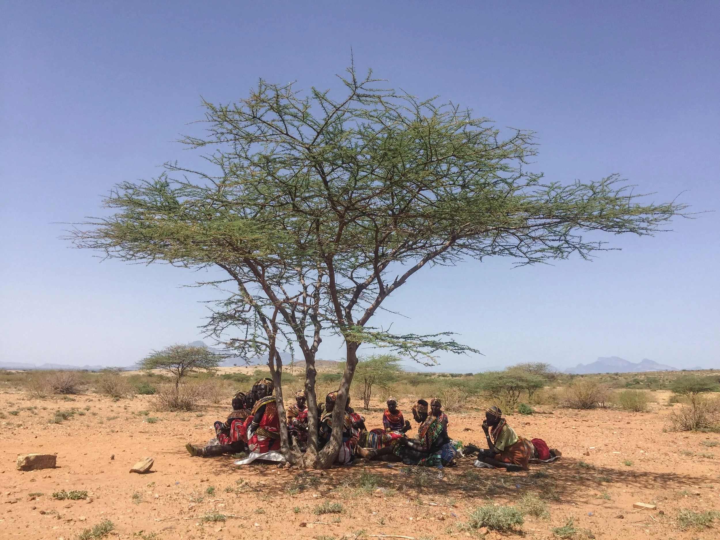 Church Birthing | Ignite Community Change — Unknown Nations