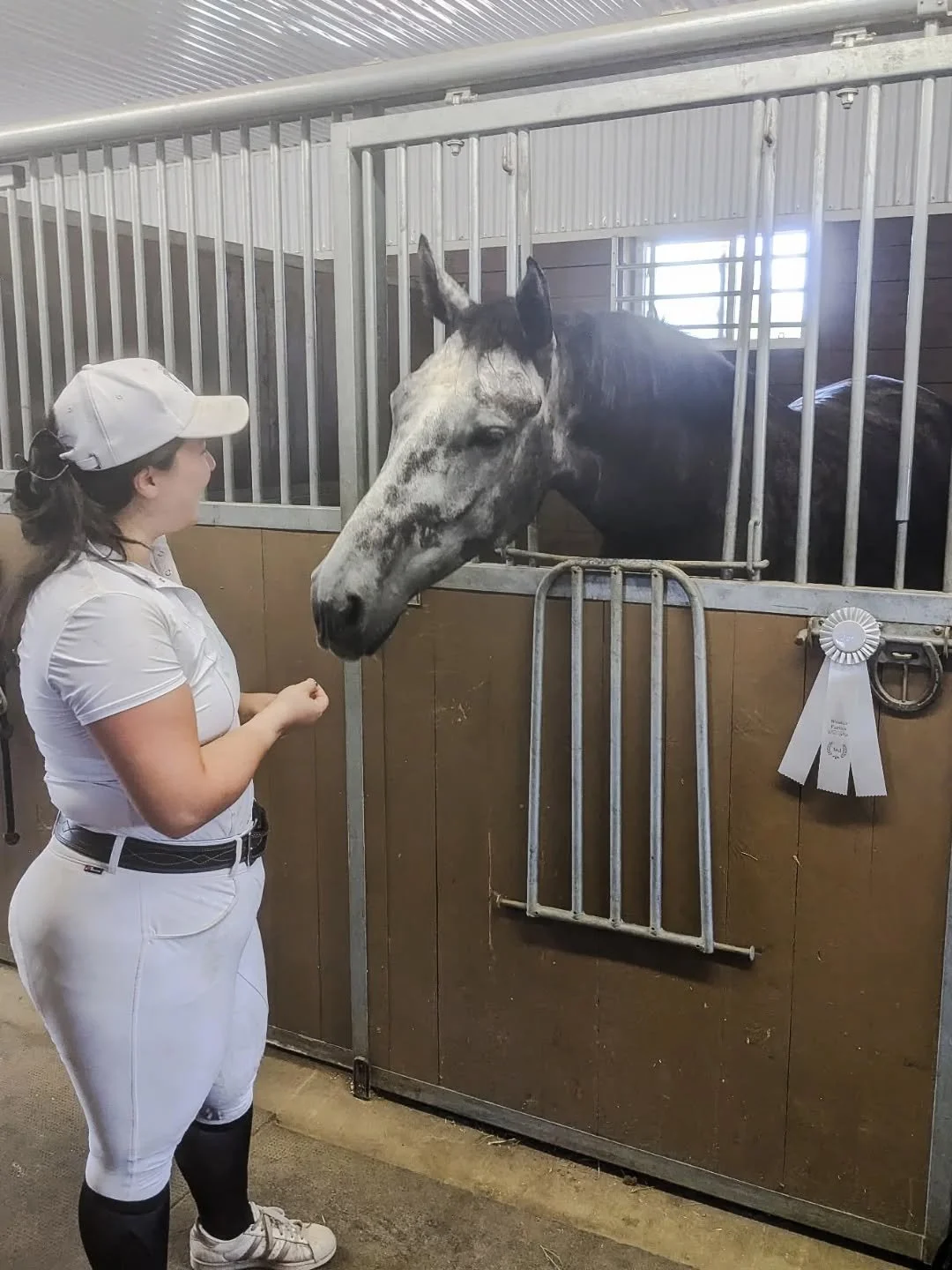Not sure why I always horse show during heatwaves but we survived the weekend! (Not pictured: the free mojitos the show was giving out. 10/10 more shows should take note)