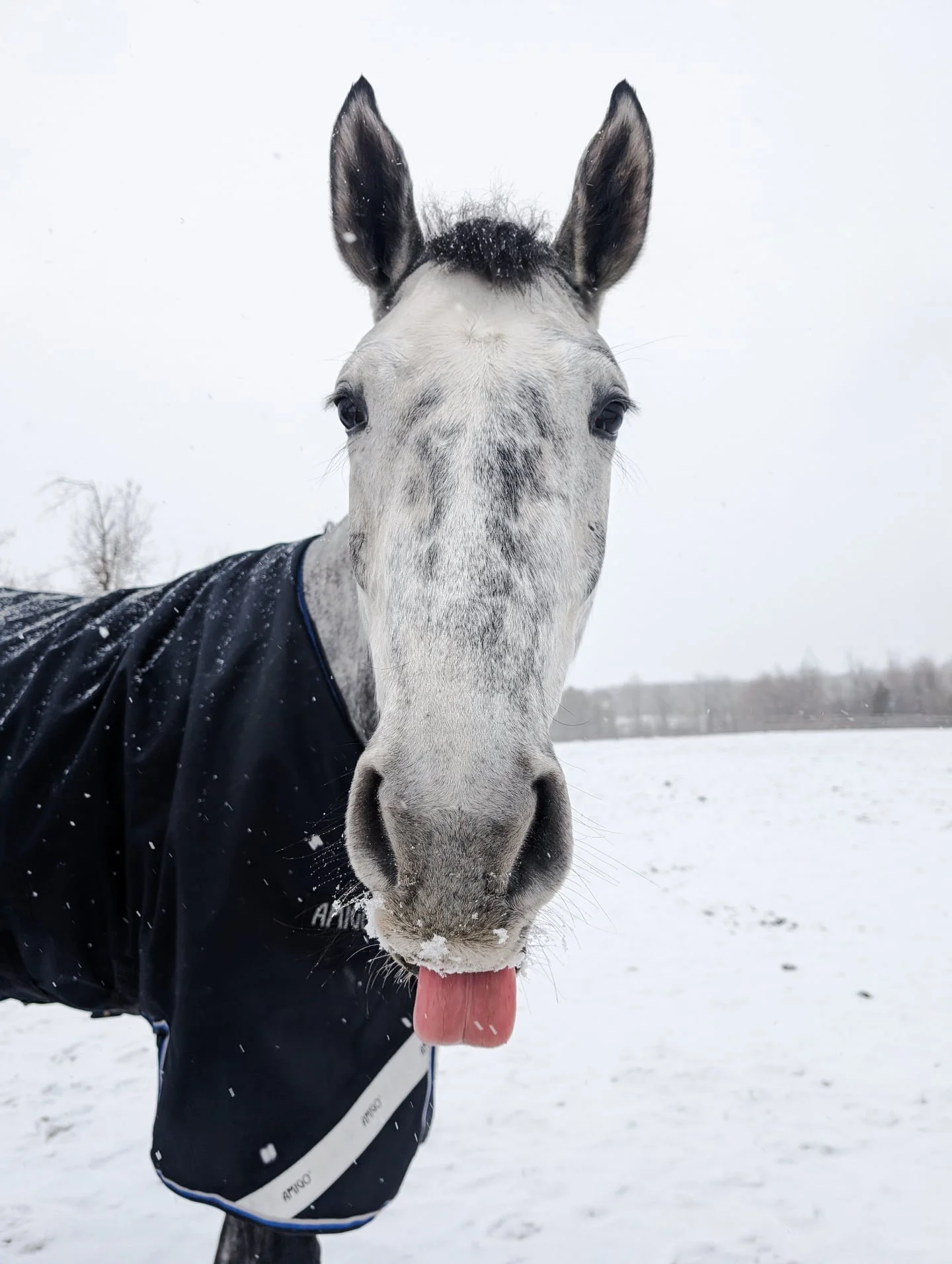 Look at this dork ❤️