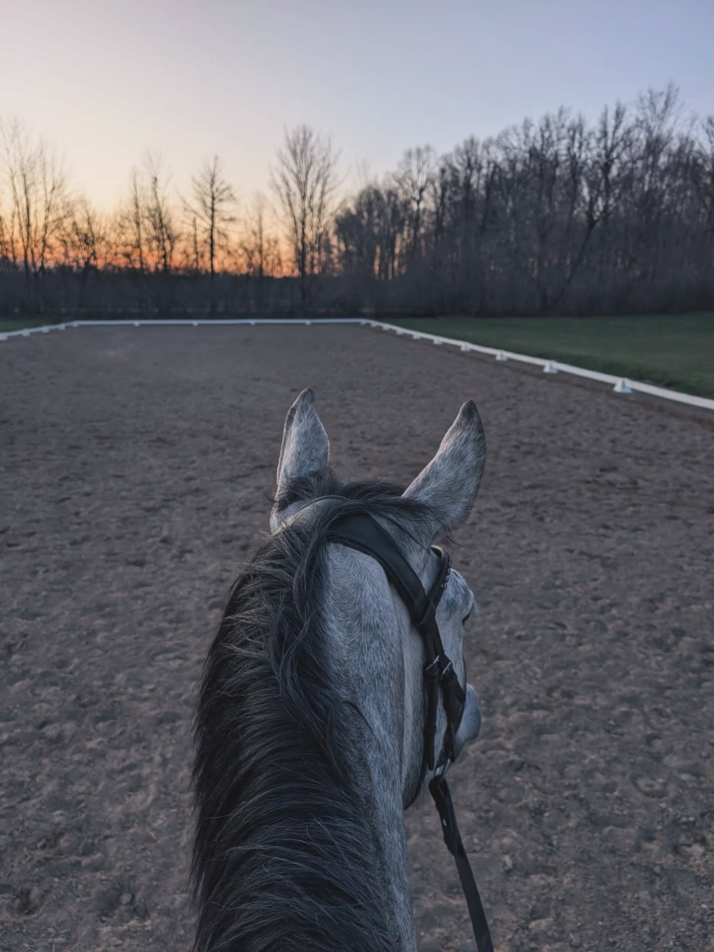 We were racing the sun trying to squeeze a ride in last night. Happy to report we won 🌄 Riding outside just hits different