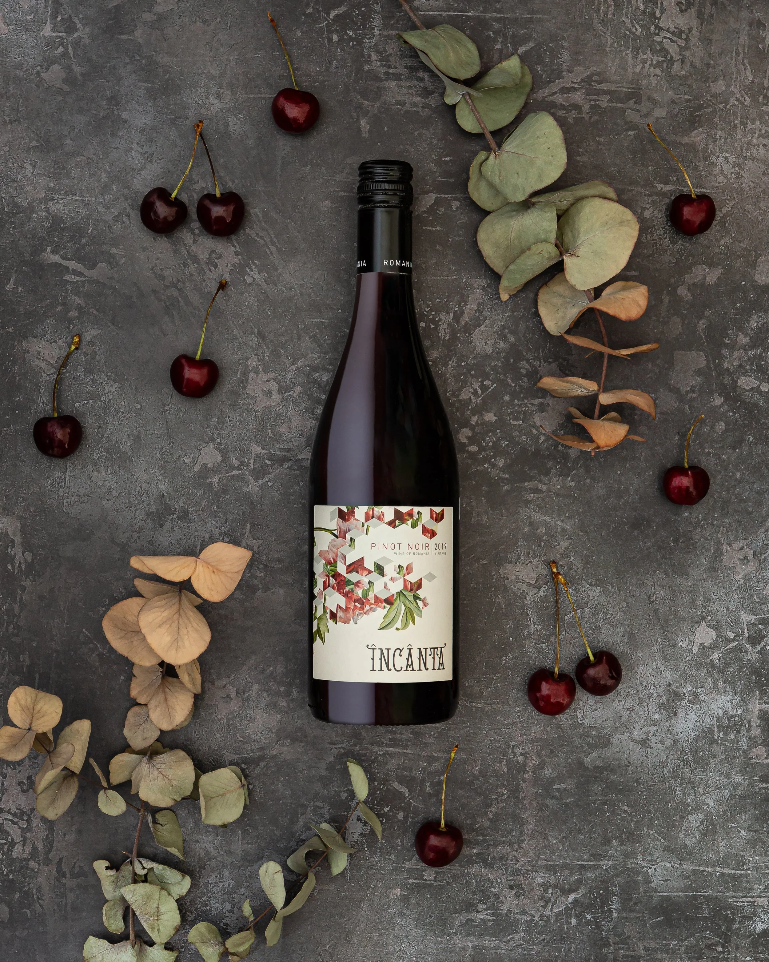 Cramele Recas x Martin Moore Kitchens Lifestyle Edits-2.jpg