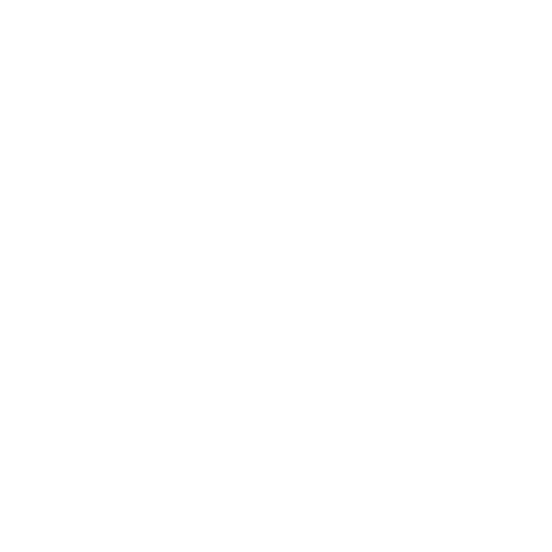 Wild Roots Motherhood