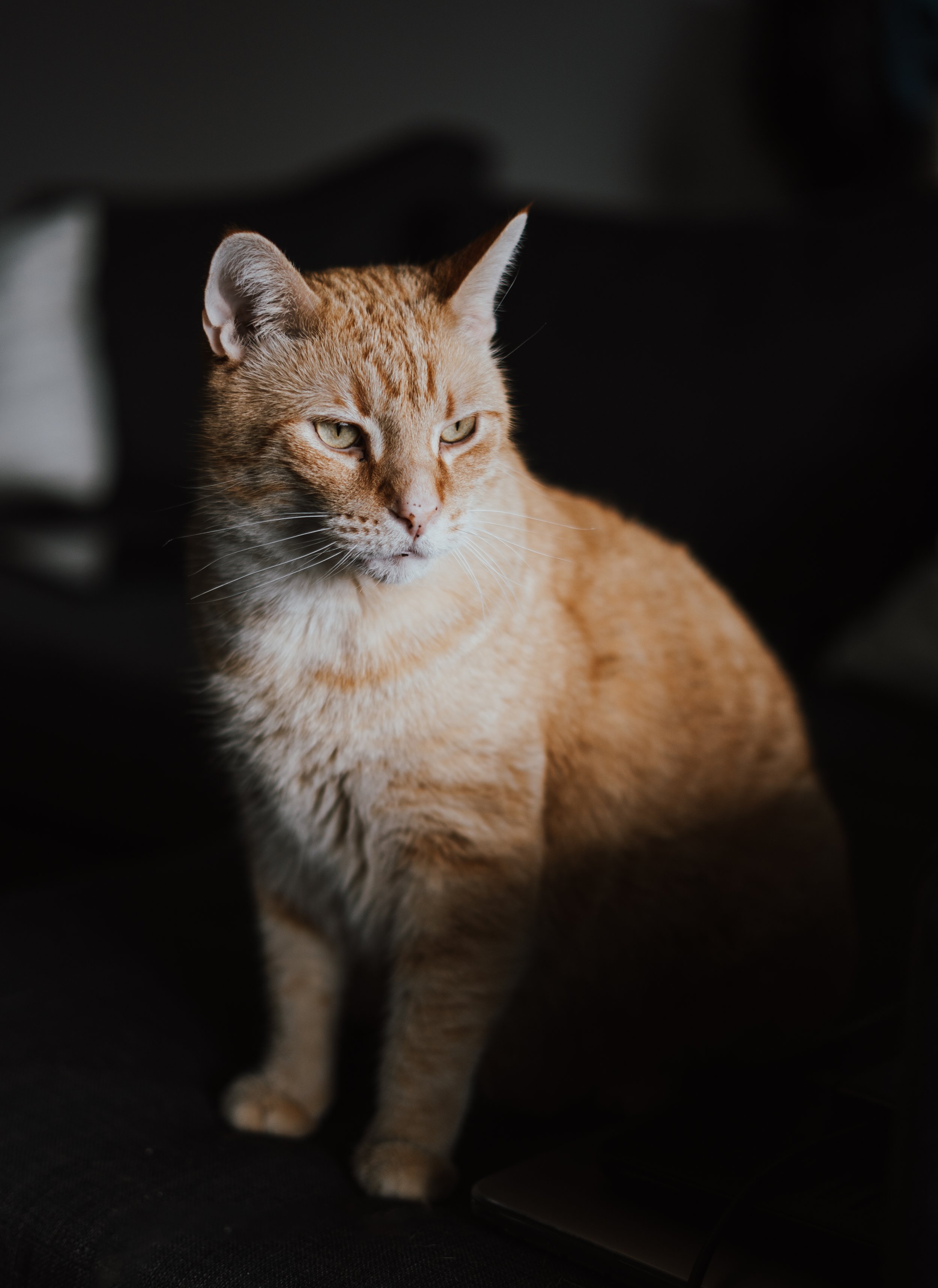 _DSC0209.jpg