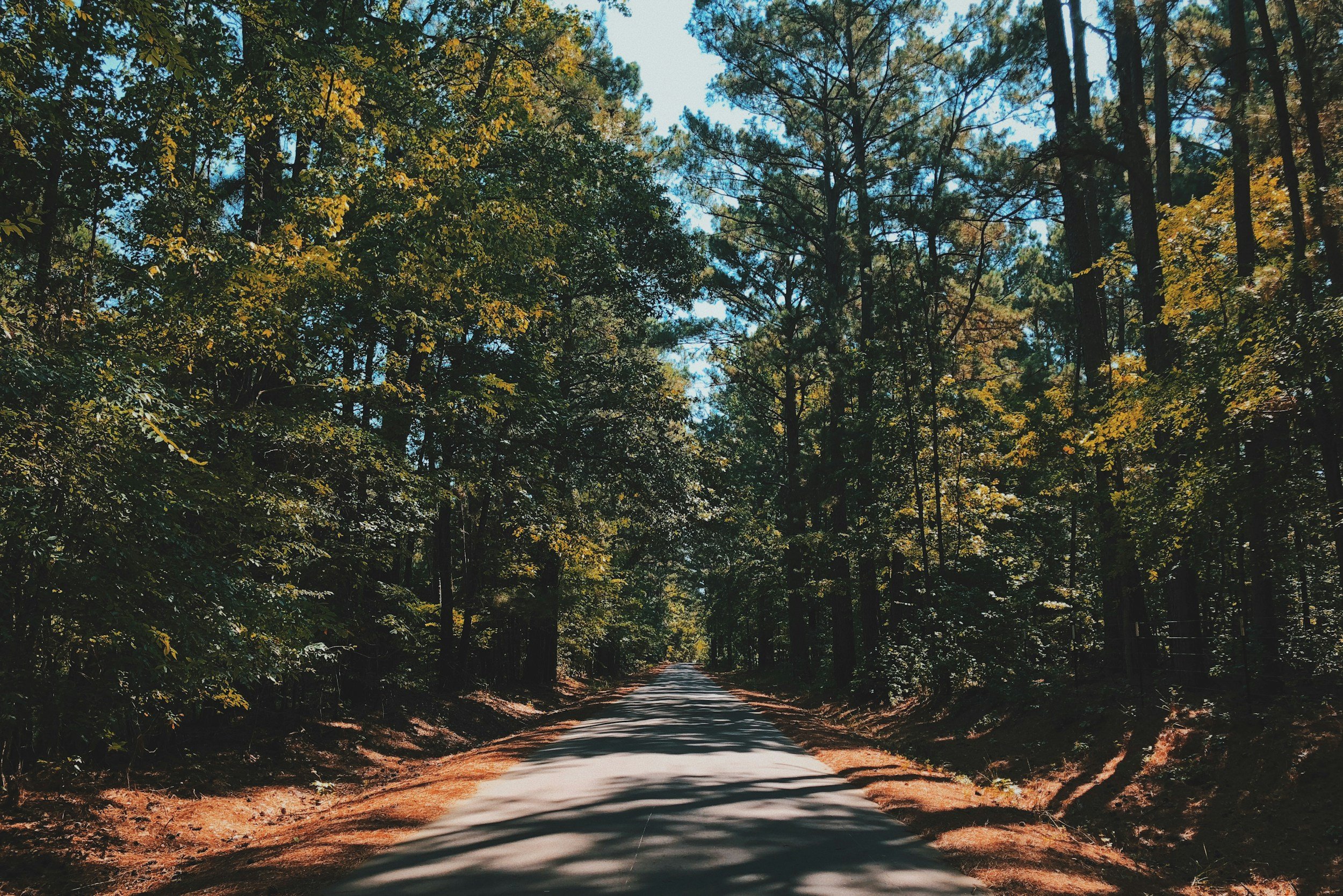 How to Get a Mortgage in Longview: A Step-by-Step Guide