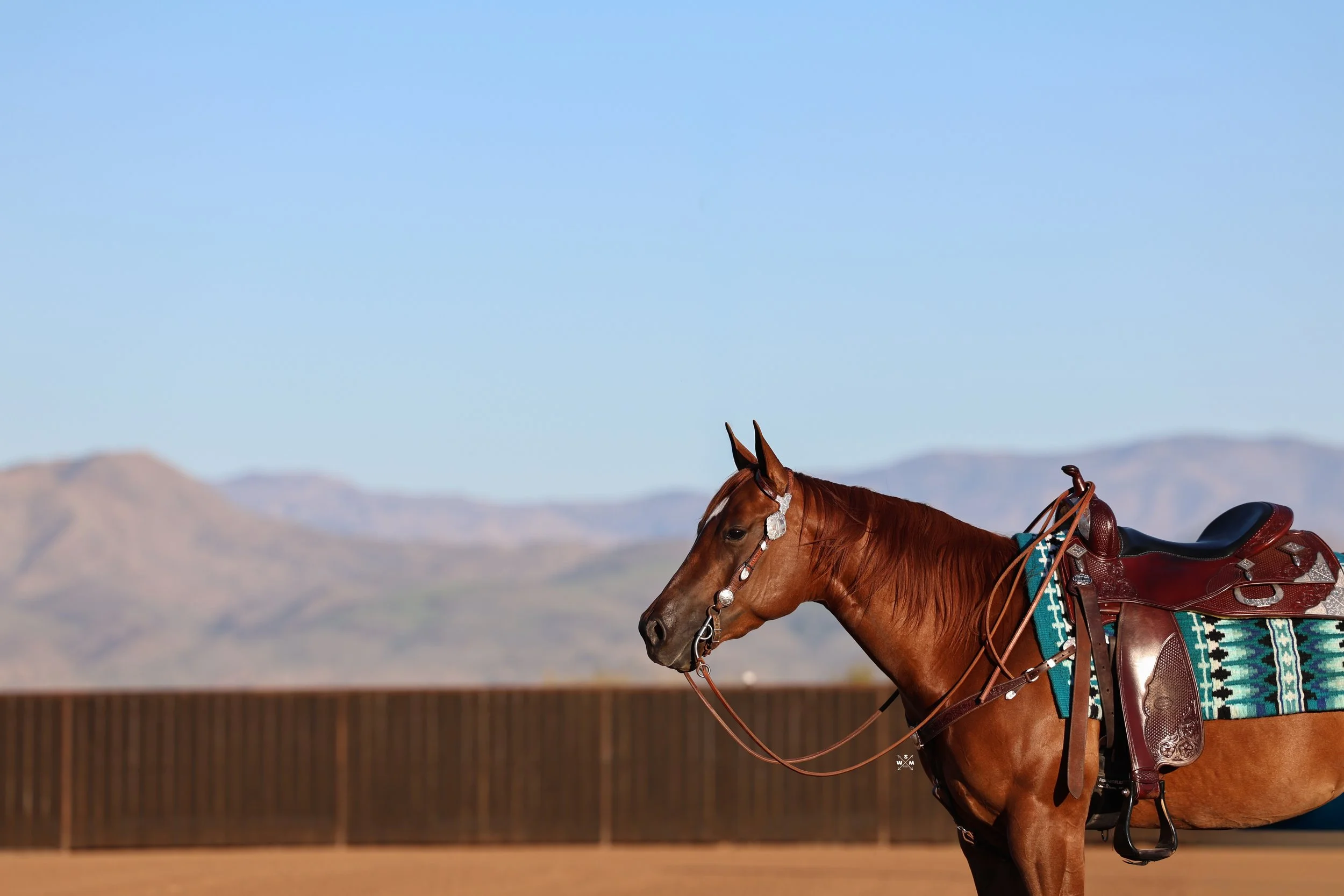 NAYLOR SURPRISEMEINTHEDARK-24.jpg