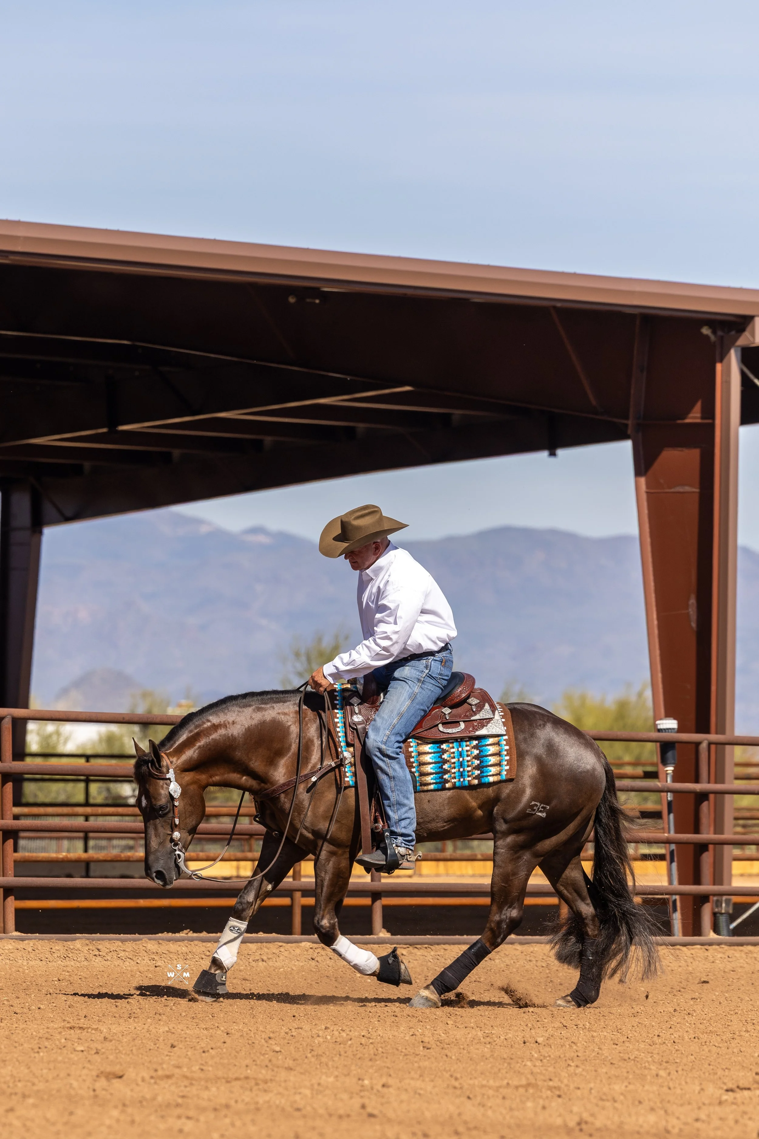 NAYLOR FEB 2026 - ELECTYC-9.jpg