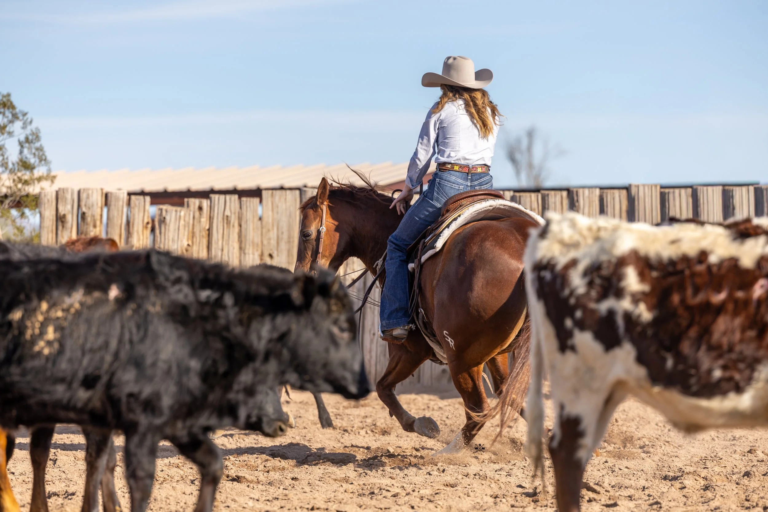 LIBERTY CONTENT -27.jpg