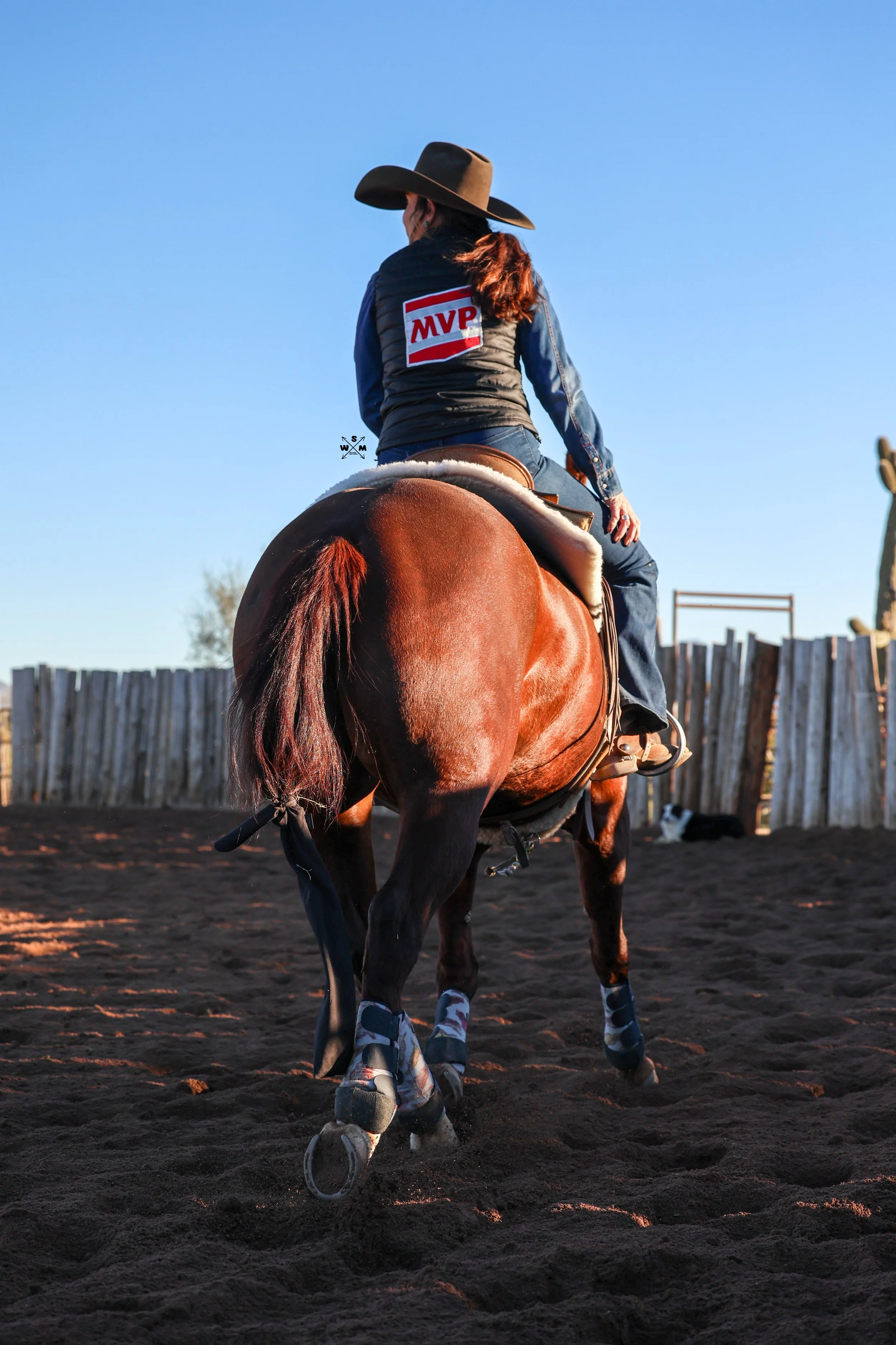 AB PERFORMANCE JAN 2026-65.jpg