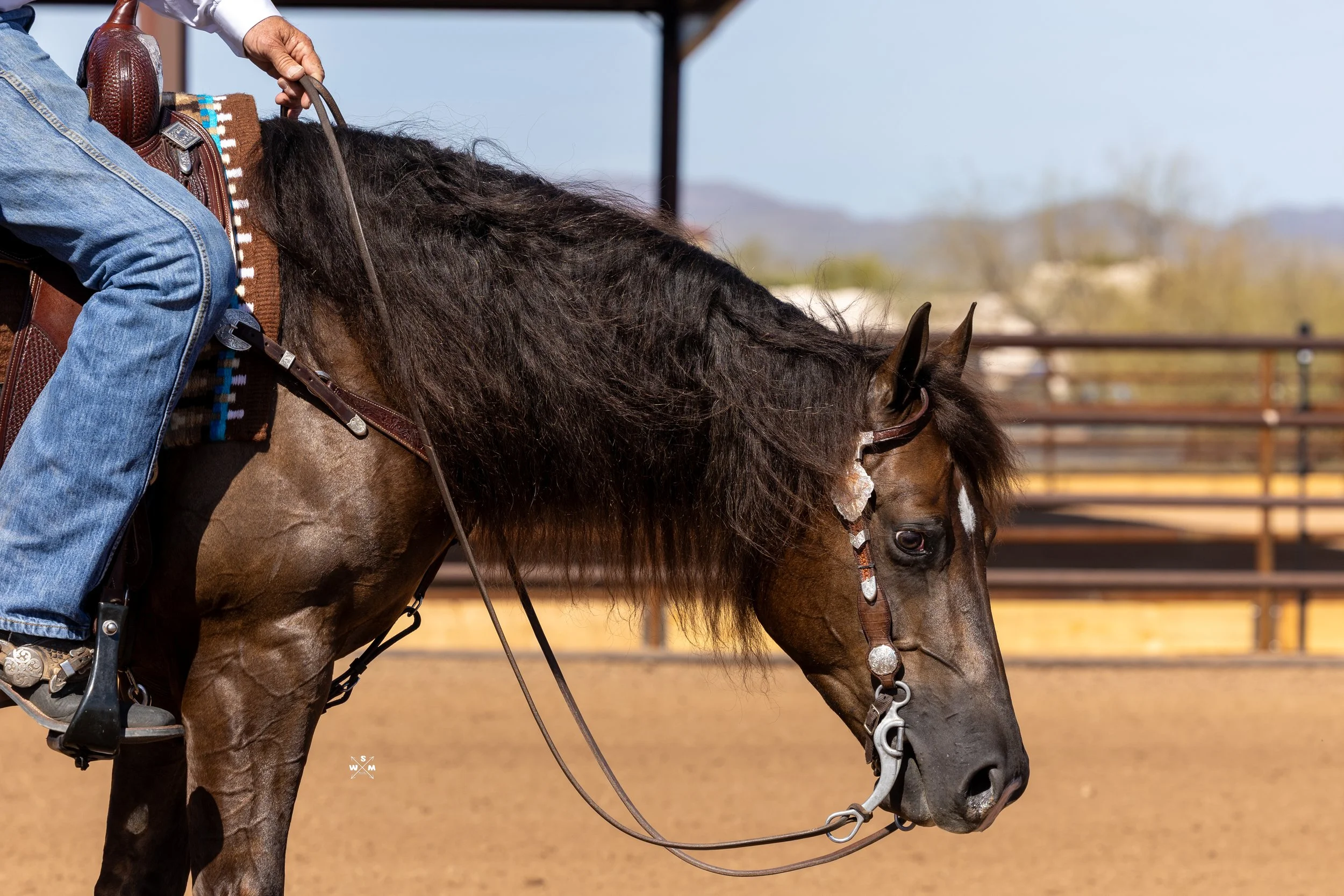 NAYLOR FEB 2026 - ELECTYC--27.jpg