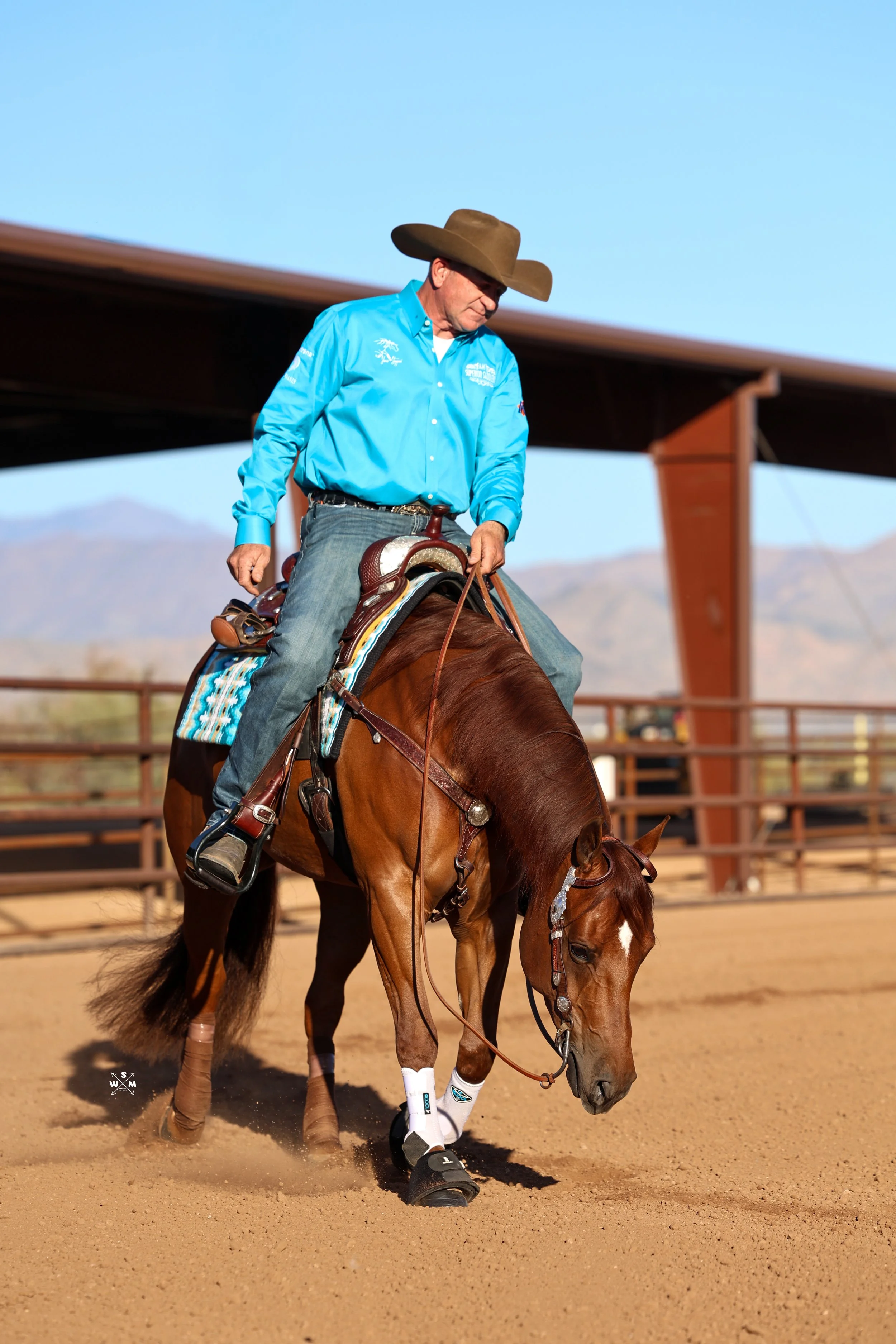 NAYLOR RD SHEZ IN TOWN FEB 26-17.jpg