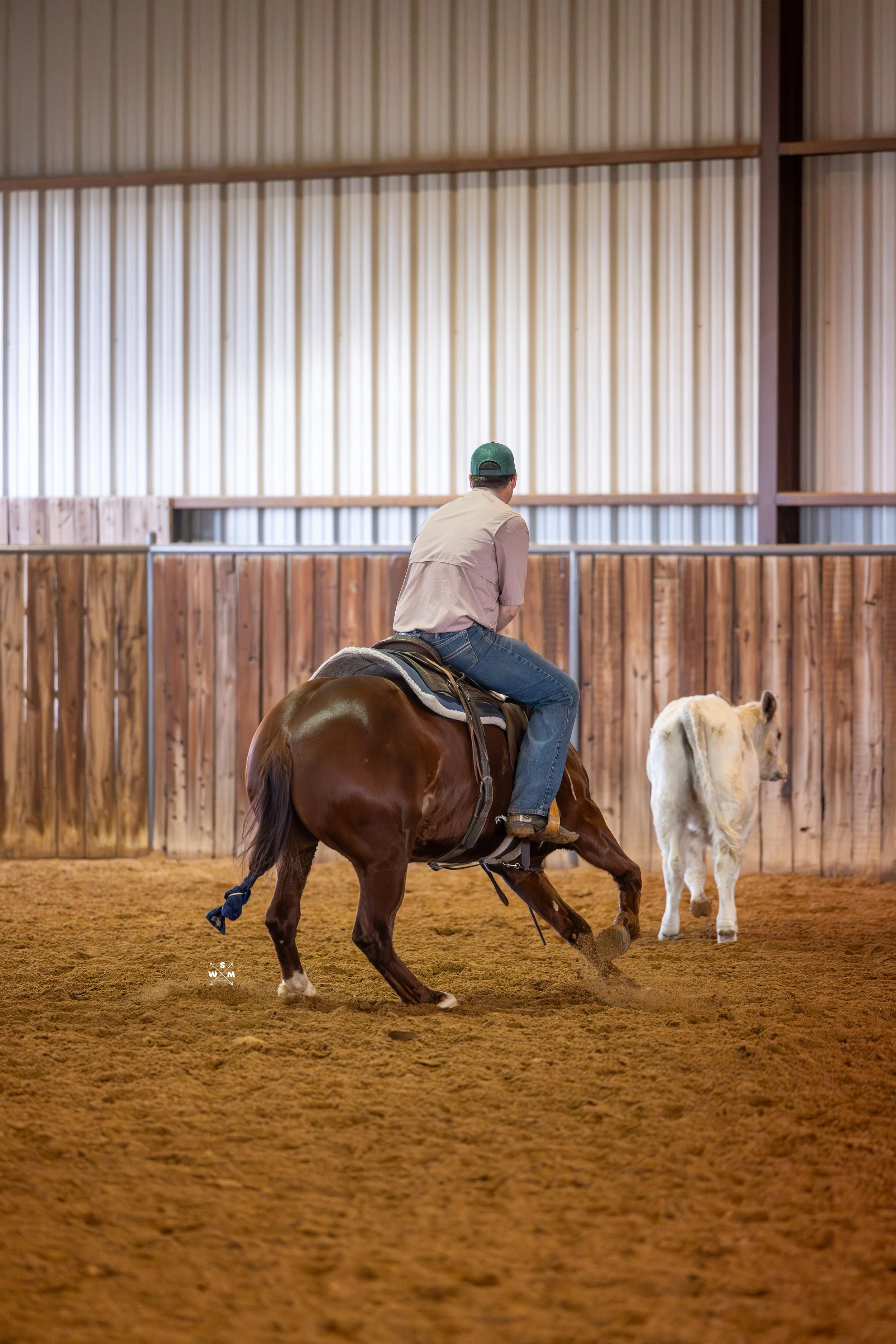 TURNBULL FEB 2026-30.jpg