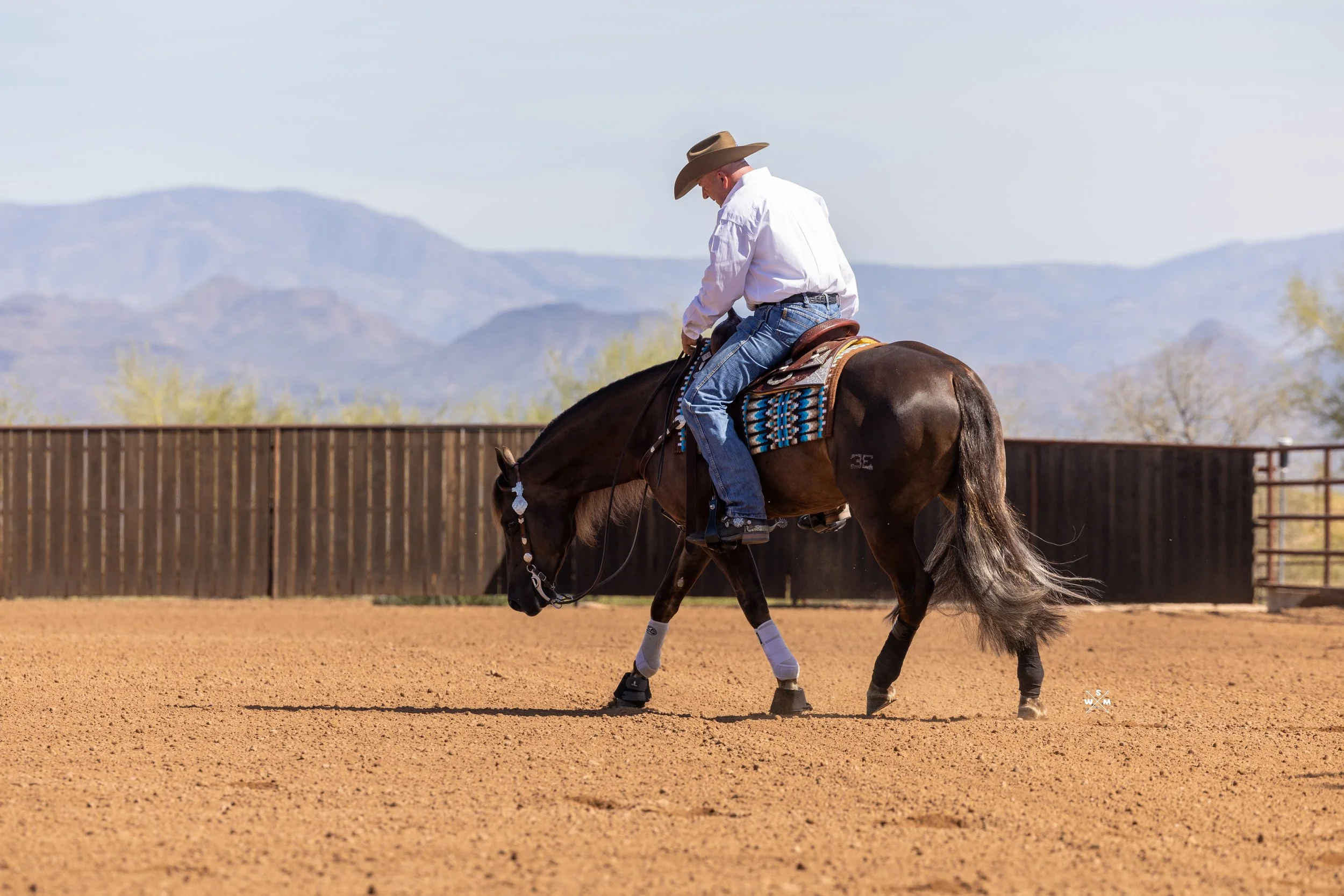 NAYLOR FEB 2026 - ELECTYC-8.jpg