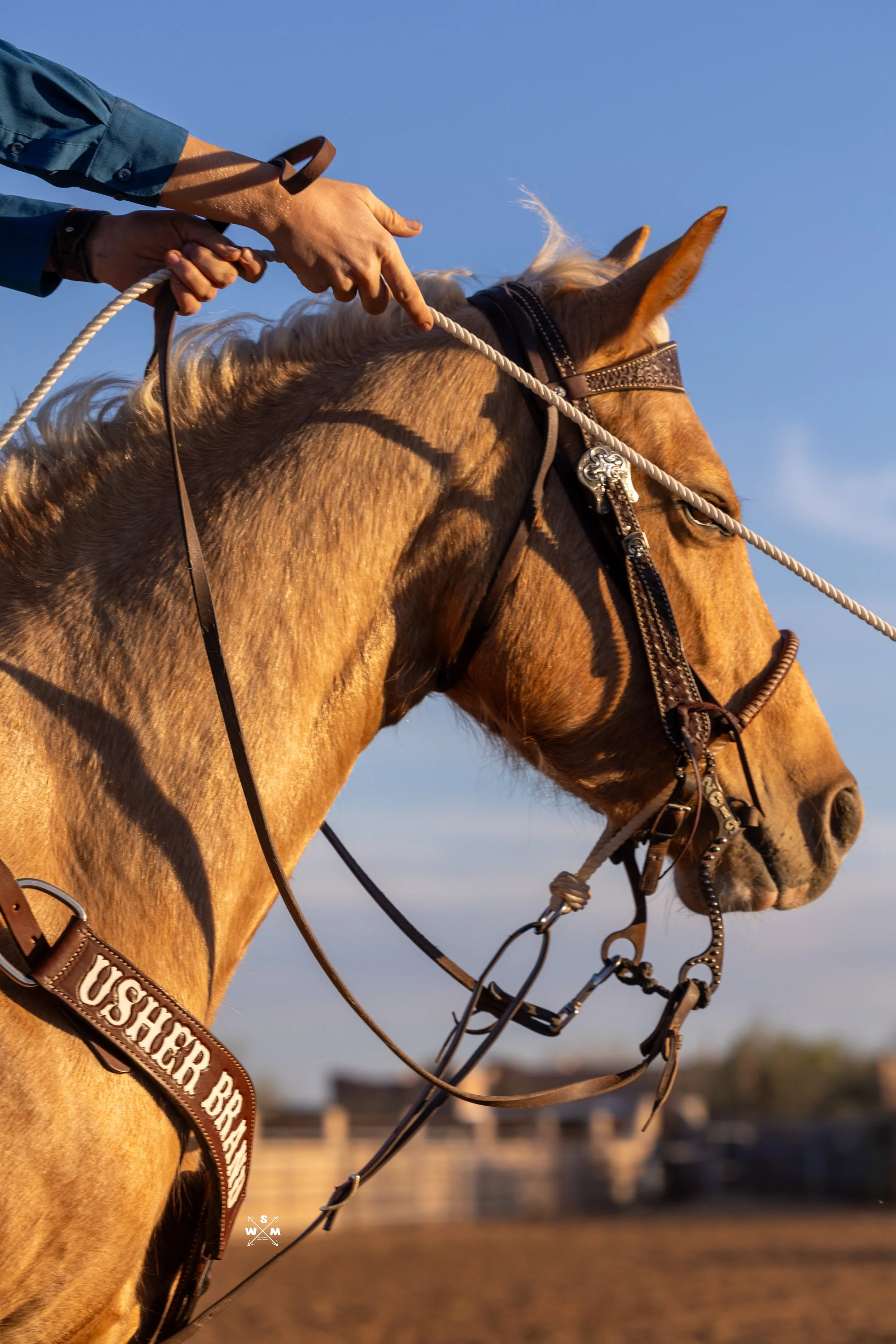 USHER - KAYLEE MARCH 2026-17.jpg