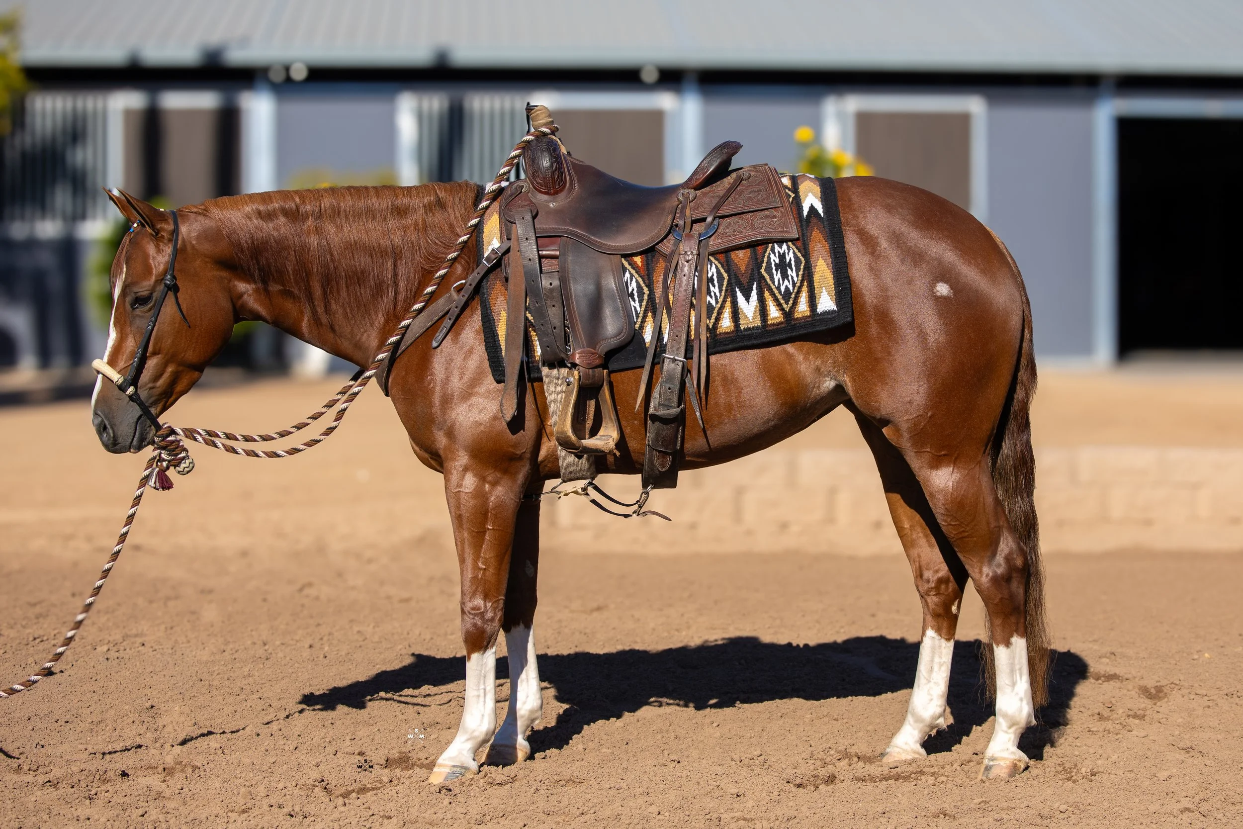 VOO LA LA CONFORMATION-2.jpg