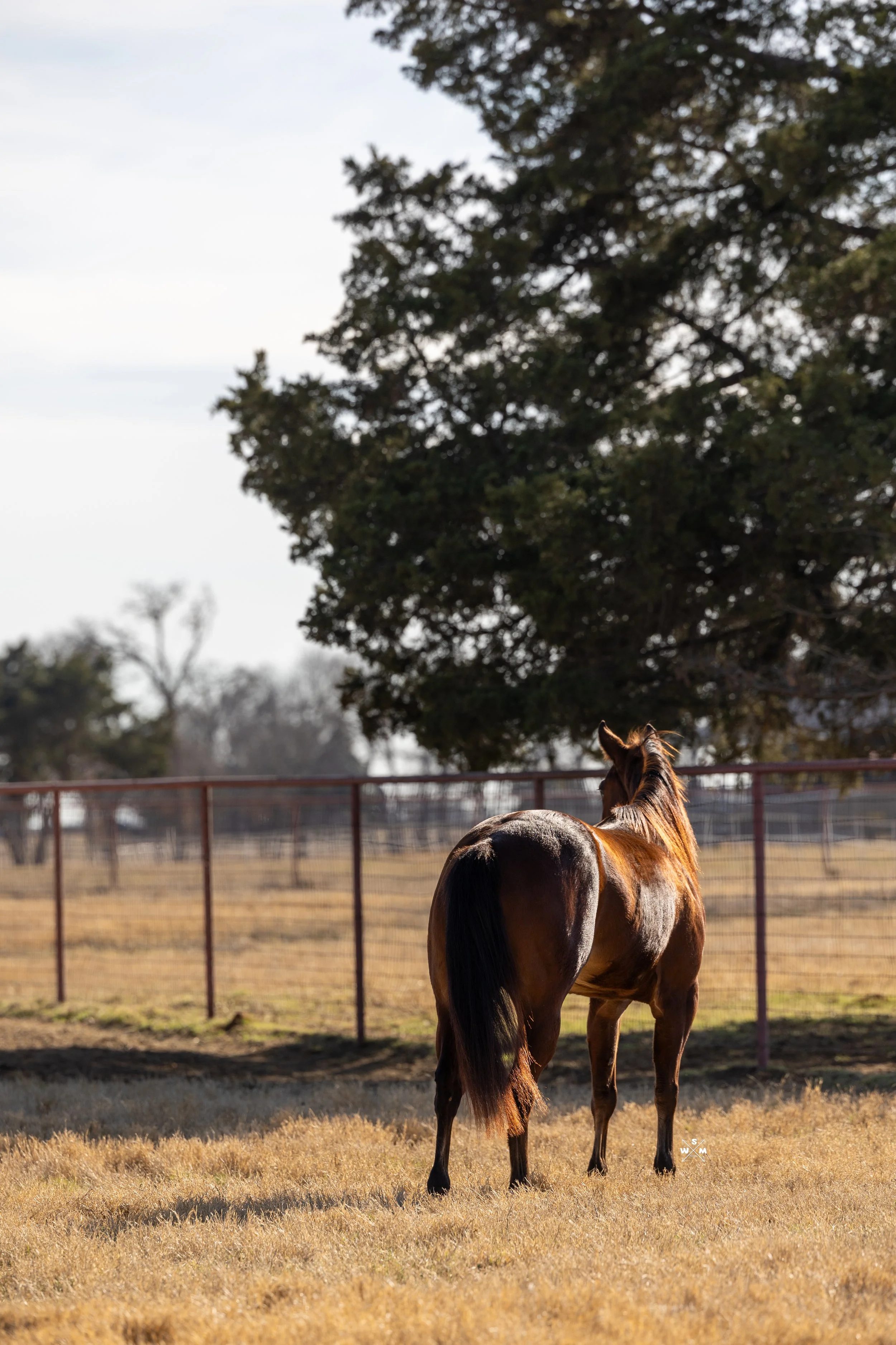 JINN _ LEIA _ JO-3.jpg